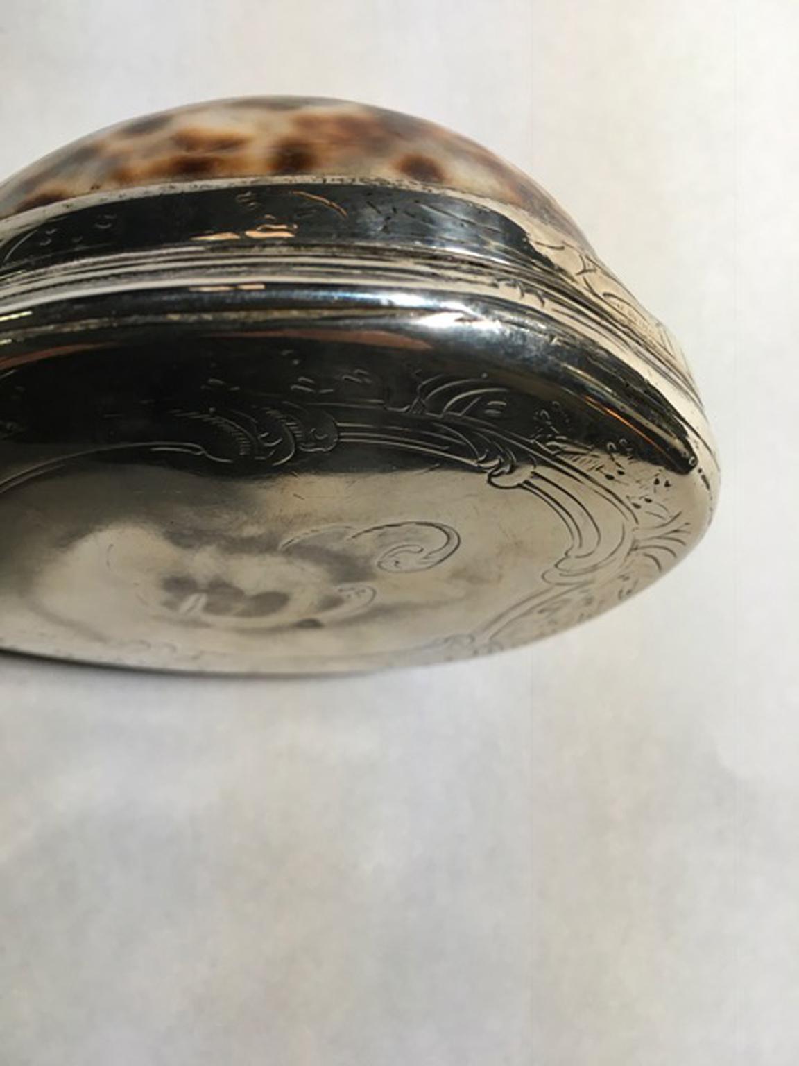 19th Century Natural Shell Mounted in Silver Box 12