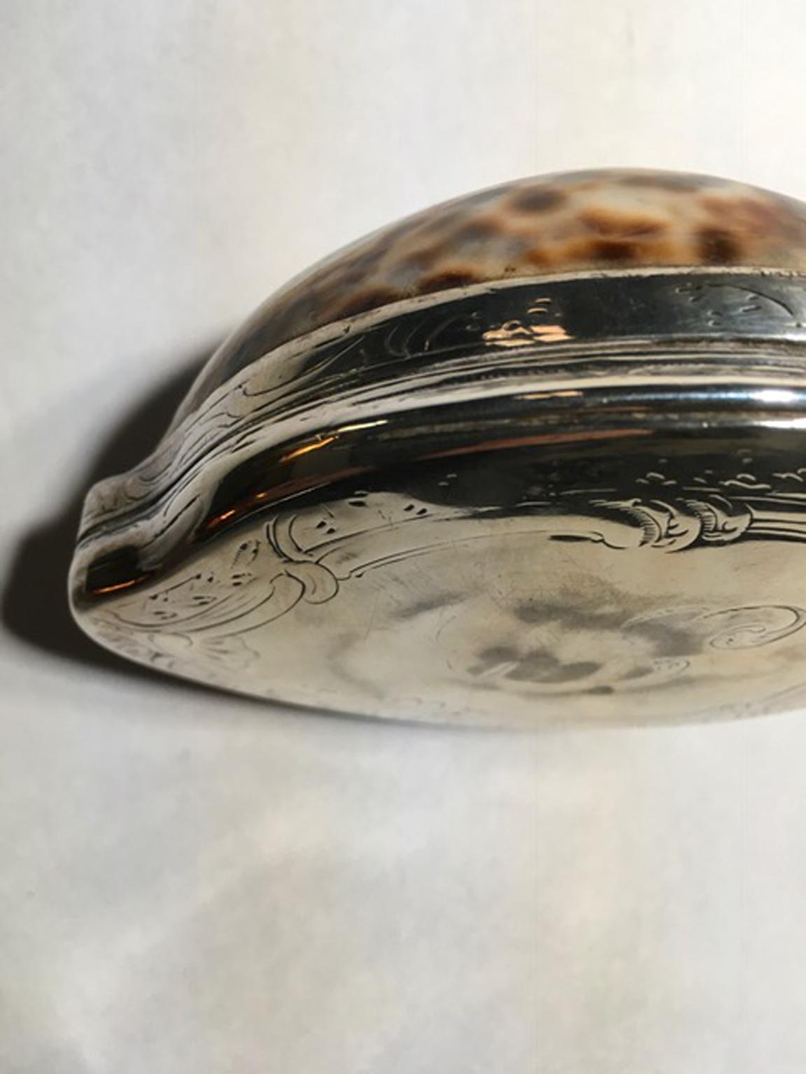 19th Century Natural Shell Mounted in Silver Box 13