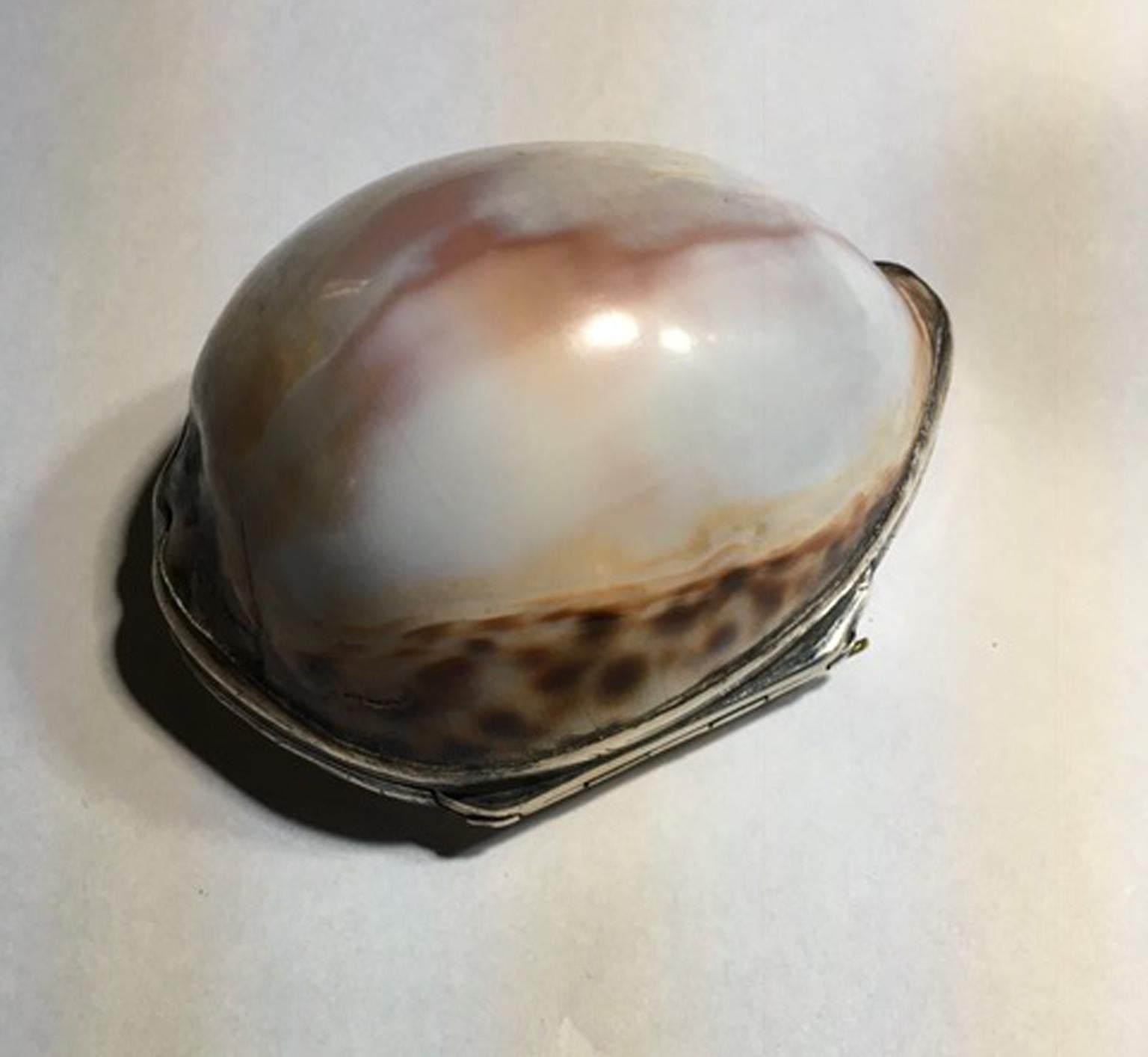 19th century natural shell mounted in silver box.