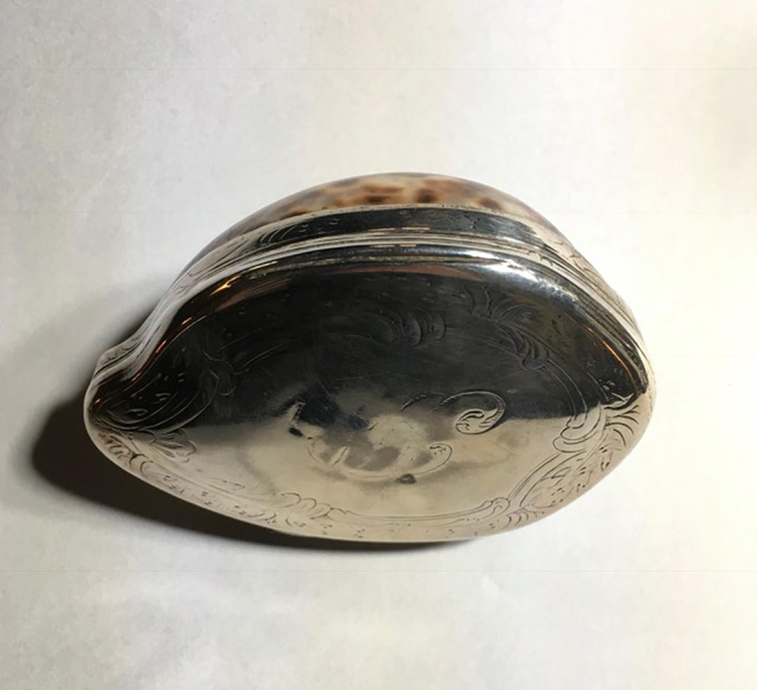 natürliche Muschel aus dem 19. Jahrhundert:: montiert in einer Silberdose (Barock)