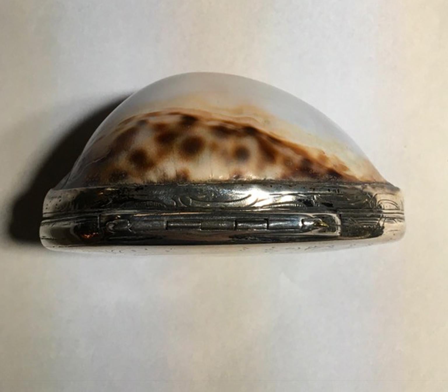 European 19th Century Natural Shell Mounted in Silver Box