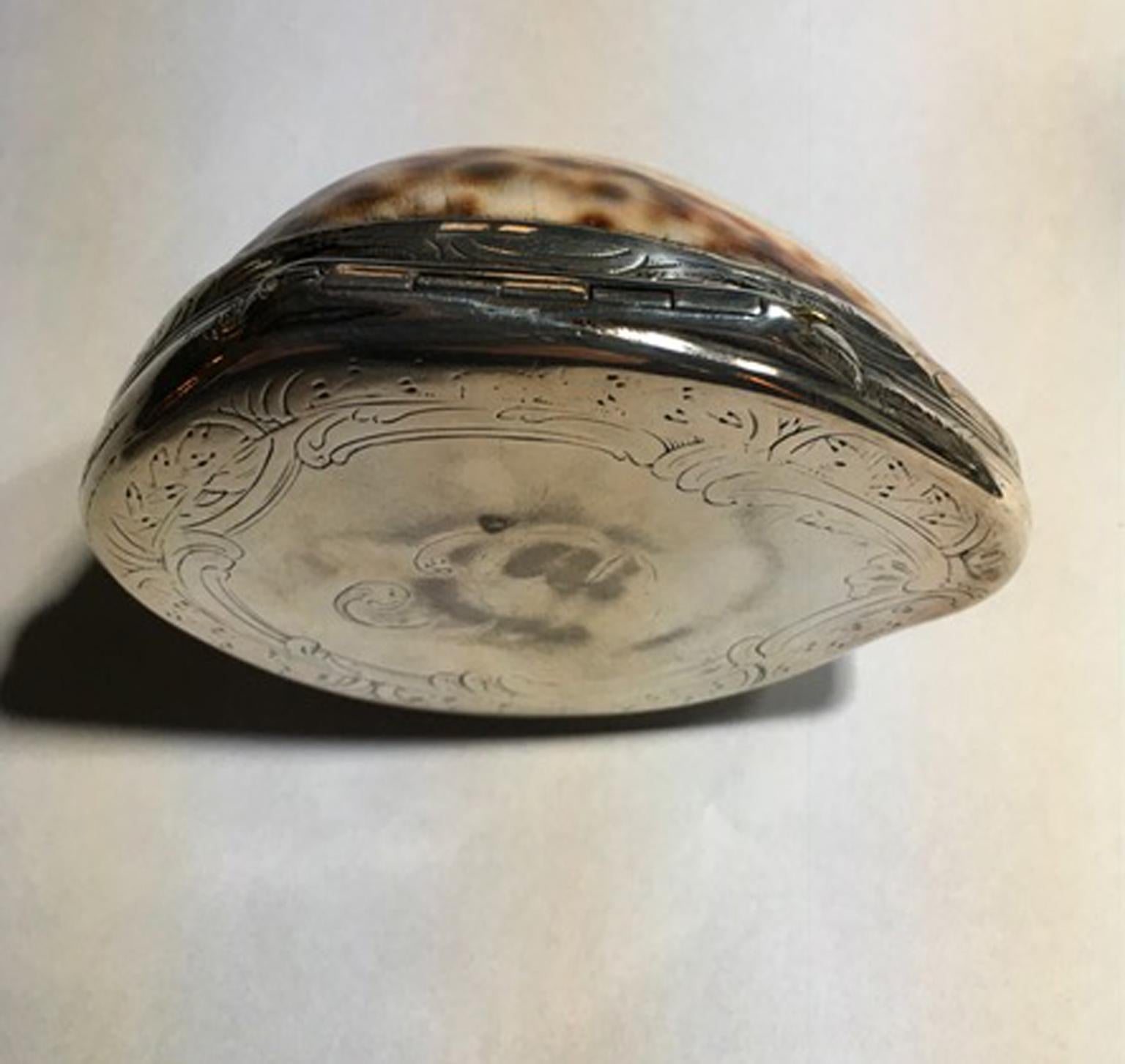 natürliche Muschel aus dem 19. Jahrhundert:: montiert in einer Silberdose 1
