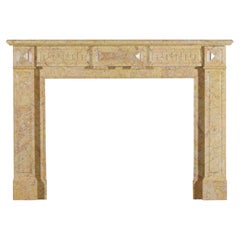 19th Century Neo-Classical Marble Fireplace Mantel From Antwerp