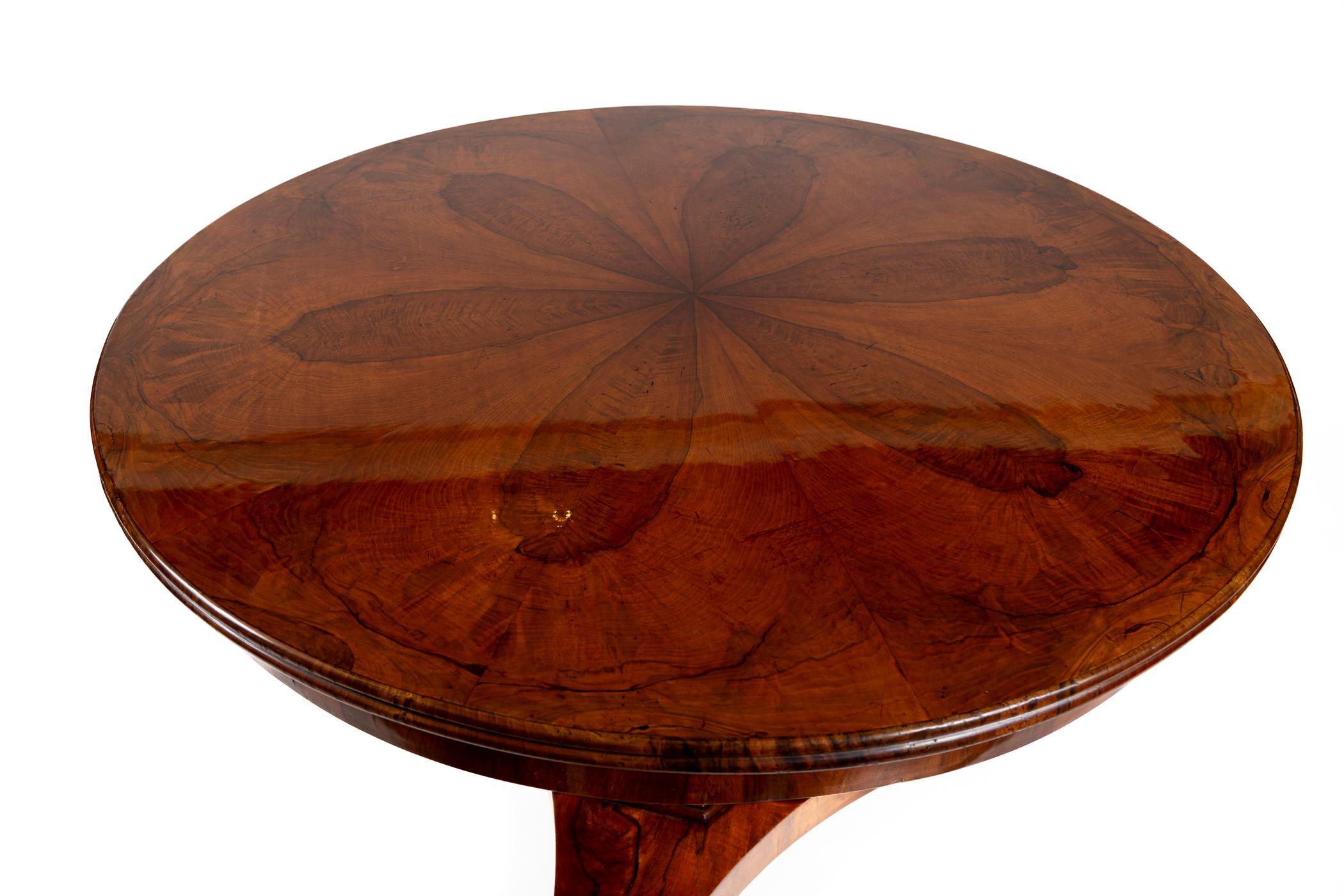 19th Century Neoclassical Biedermeier Round Center Table For Sale 3
