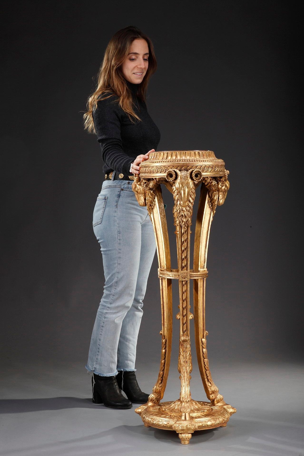 19th Century Neoclassical Giltwood Pedestal 13