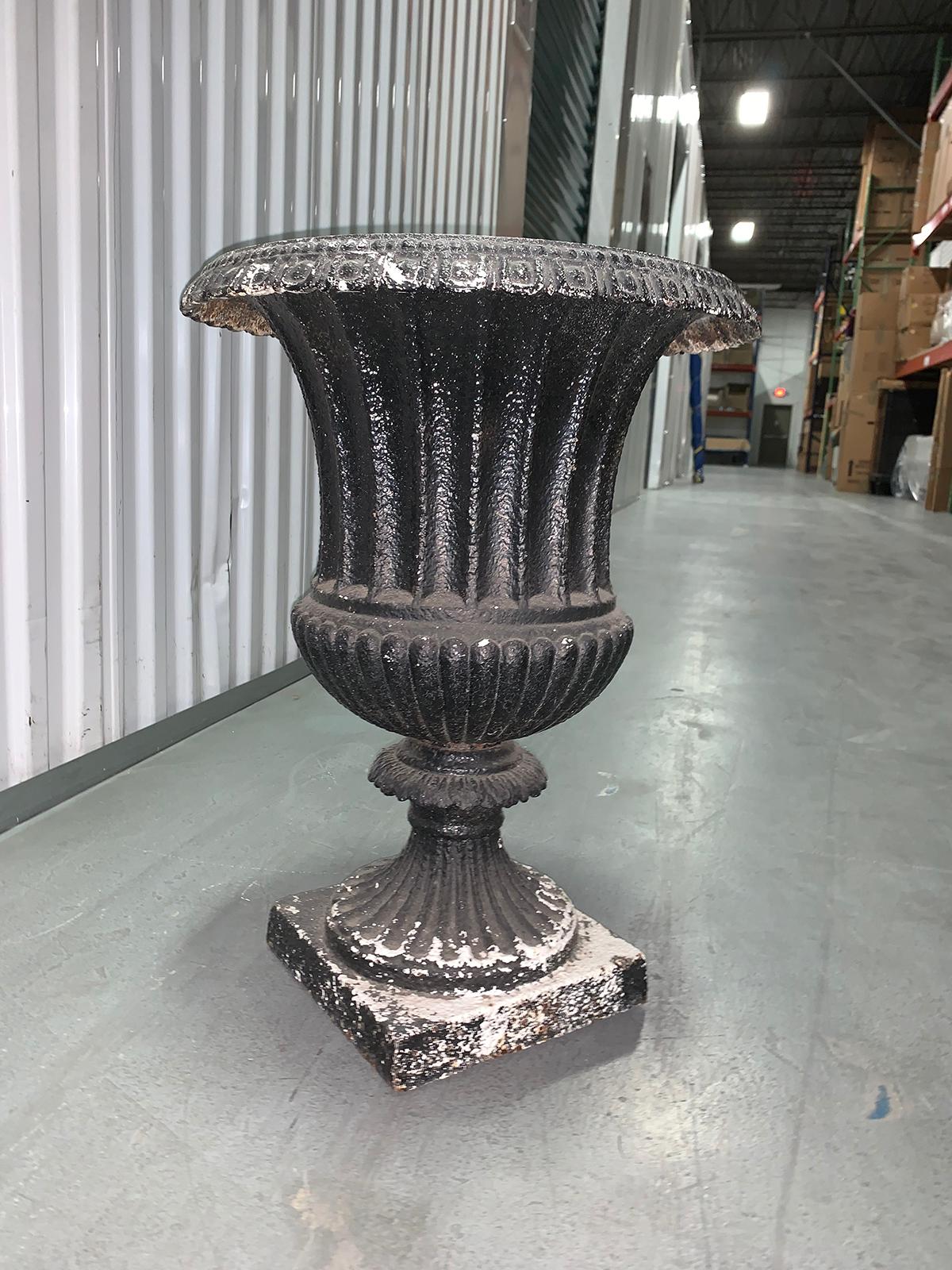 19th century neoclassical iron urn.