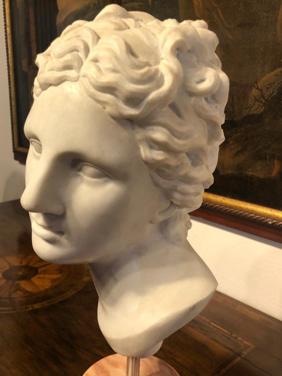 Italian 19th Century Neoclassical Sculpture Carrara Marble Head For Sale