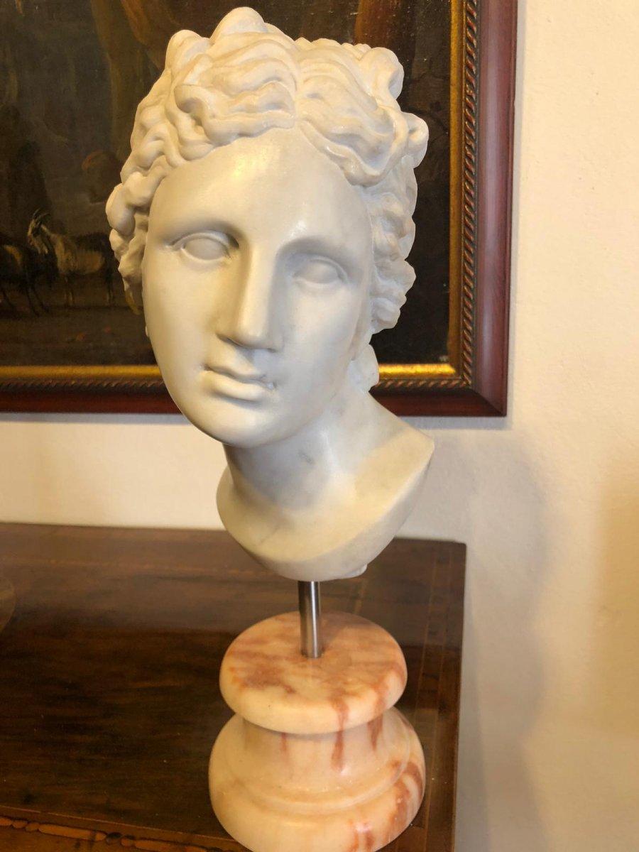 19th Century Neoclassical Sculpture Carrara Marble Head In Good Condition For Sale In Badia Polesine, Rovigo