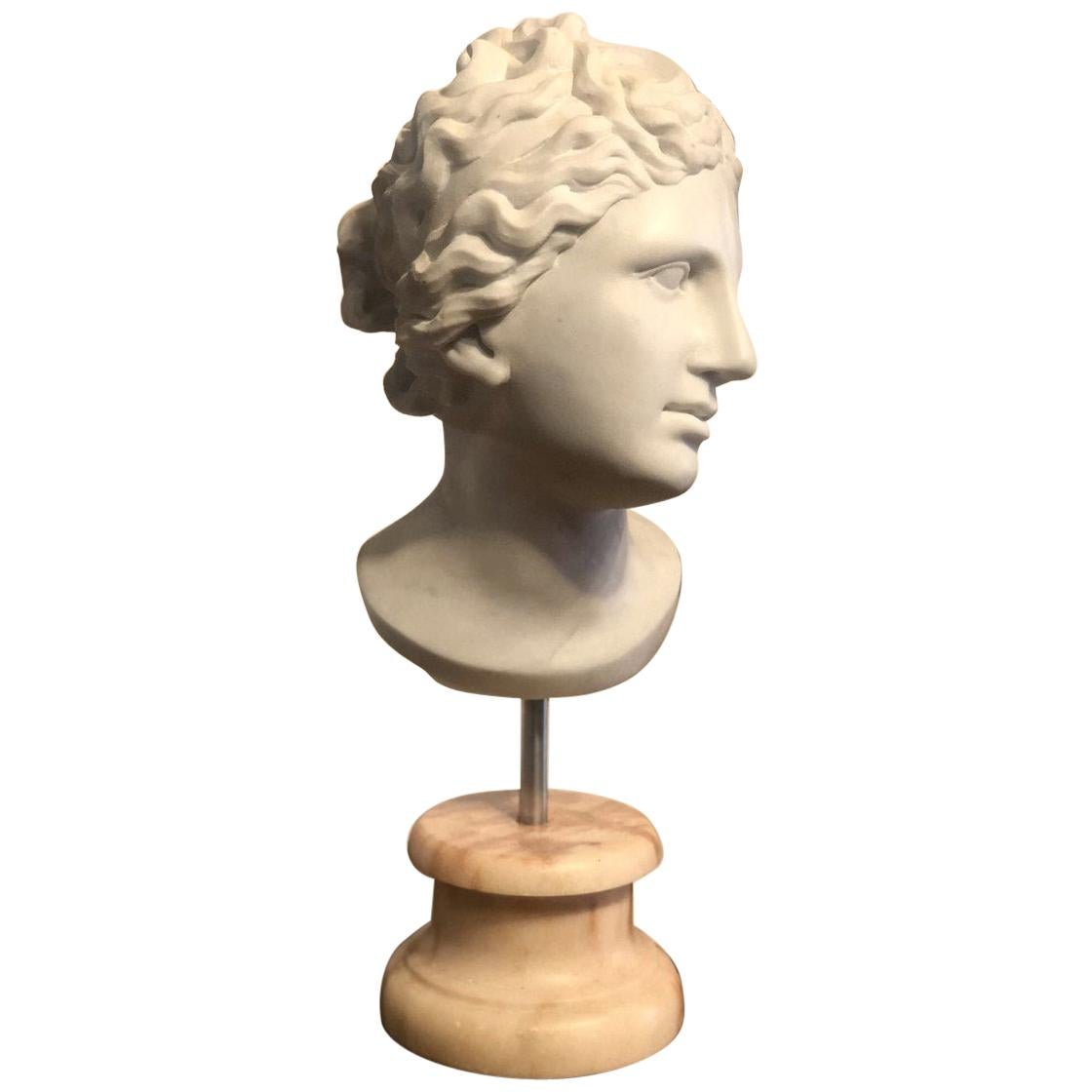 19th Century Neoclassical Sculpture Carrara Marble Head For Sale