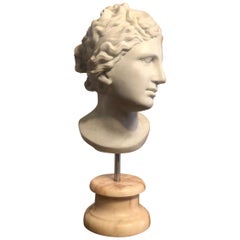 19th Century Neoclassical Sculpture Carrara Marble Head