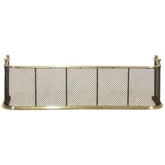 19th Century nursery spark guard