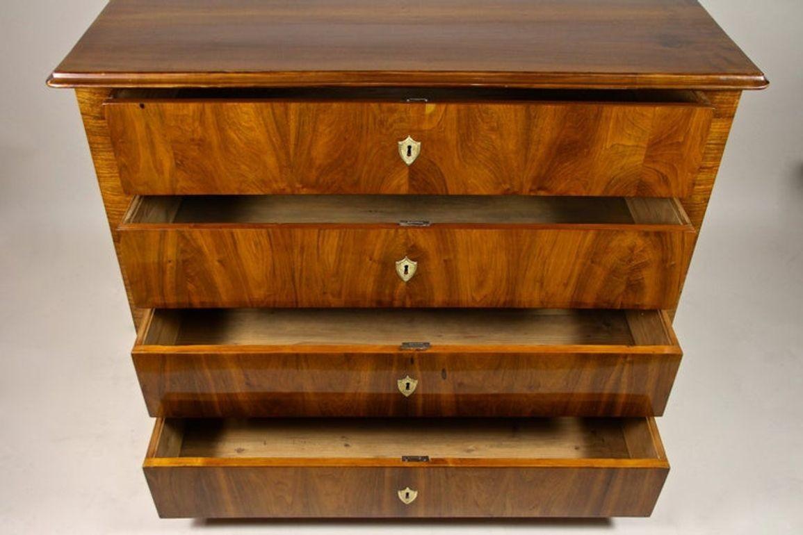 Cassettiera Biedermeier in legno di noce del XIX secolo, Austria, 1840 ca. In condizioni buone in vendita a Lichtenberg, AT