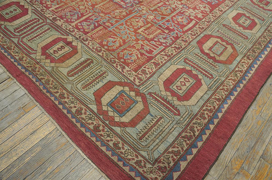 19th  Century N.W. Persian Bakshaiesh Carpet ( 10'10