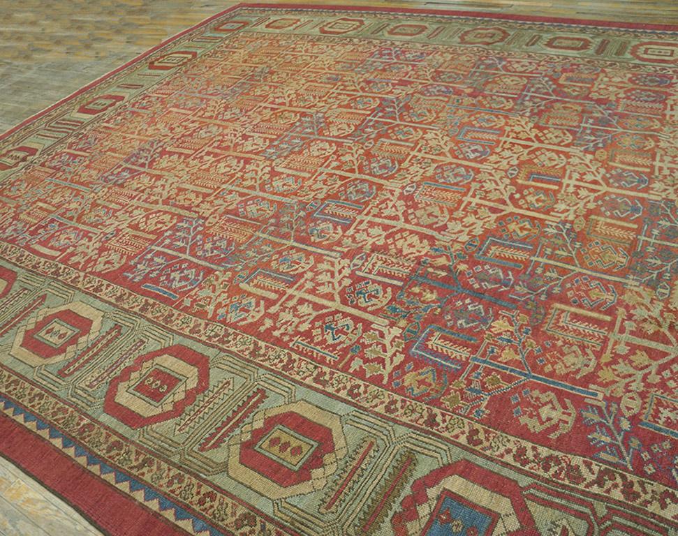 Wool 19th  Century N.W. Persian Bakshaiesh Carpet ( 10'10