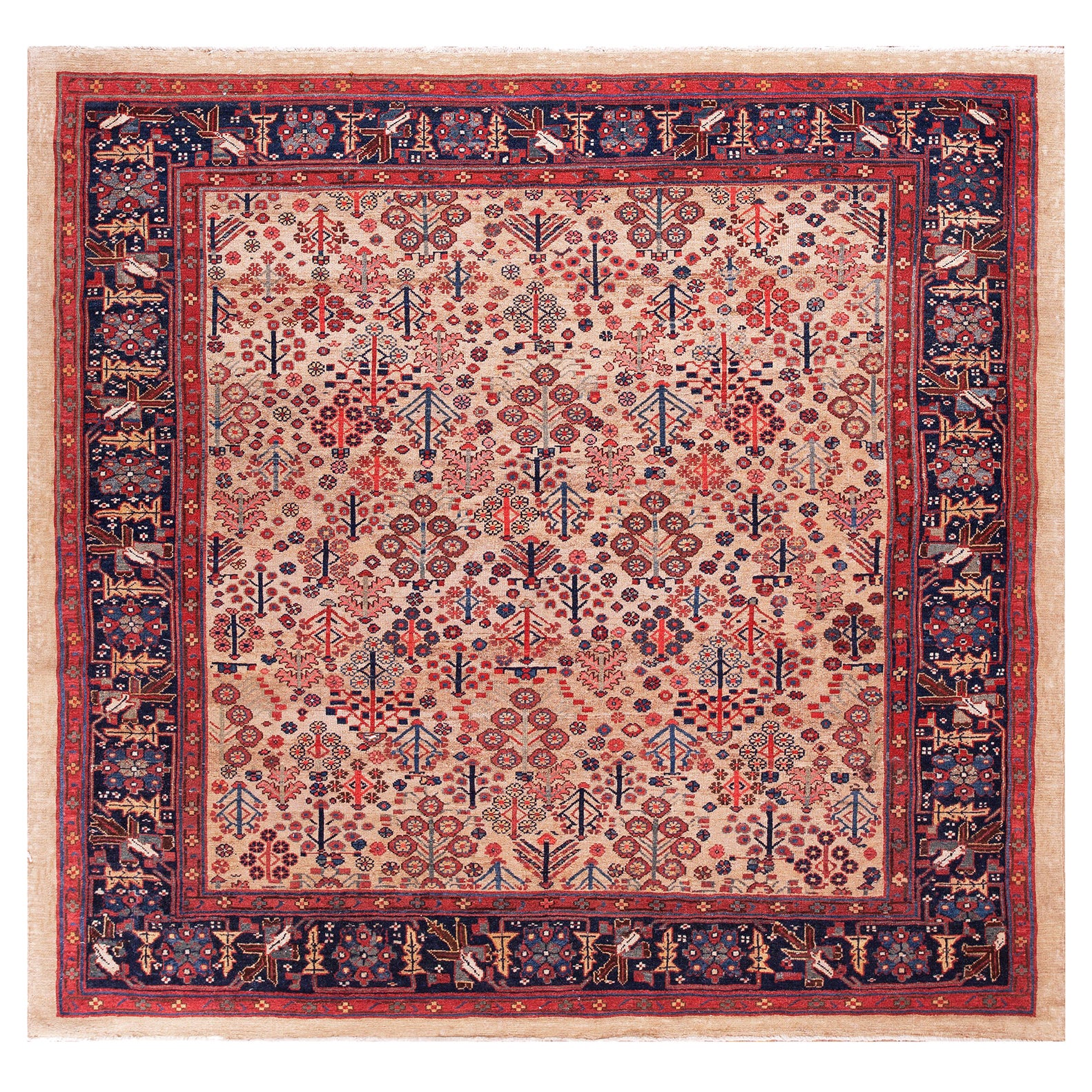 XIX secolo N.W. Tappeto persiano "Bakshaiesh" ( 7'4" x 8' - 224 x 244 )