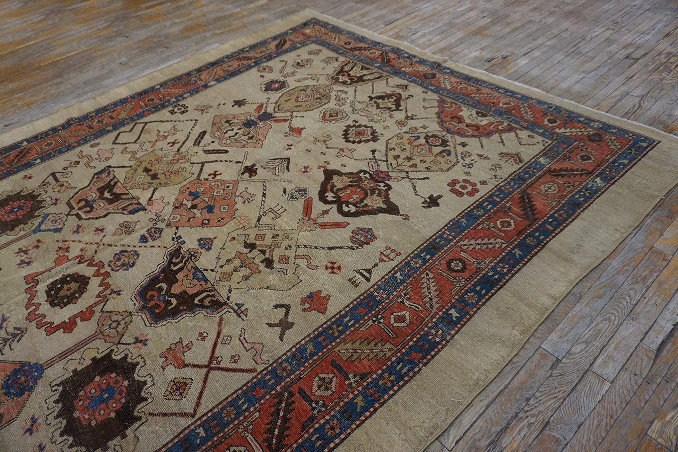 19th Century N.W. Persian Bakshaiesh Carpet ( 8' x 11'10