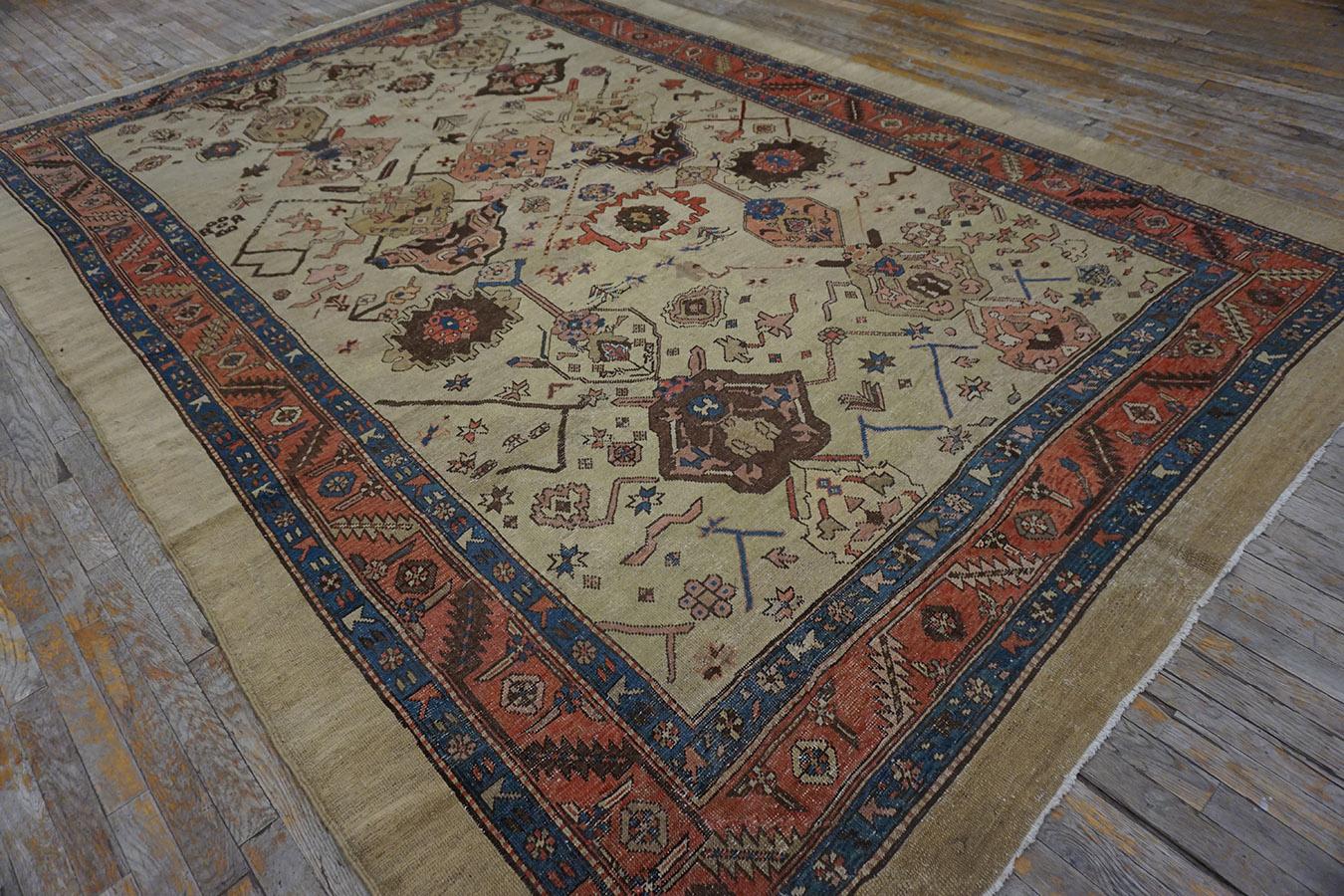 Wool 19th Century N.W. Persian Bakshaiesh Carpet ( 8' x 11'10