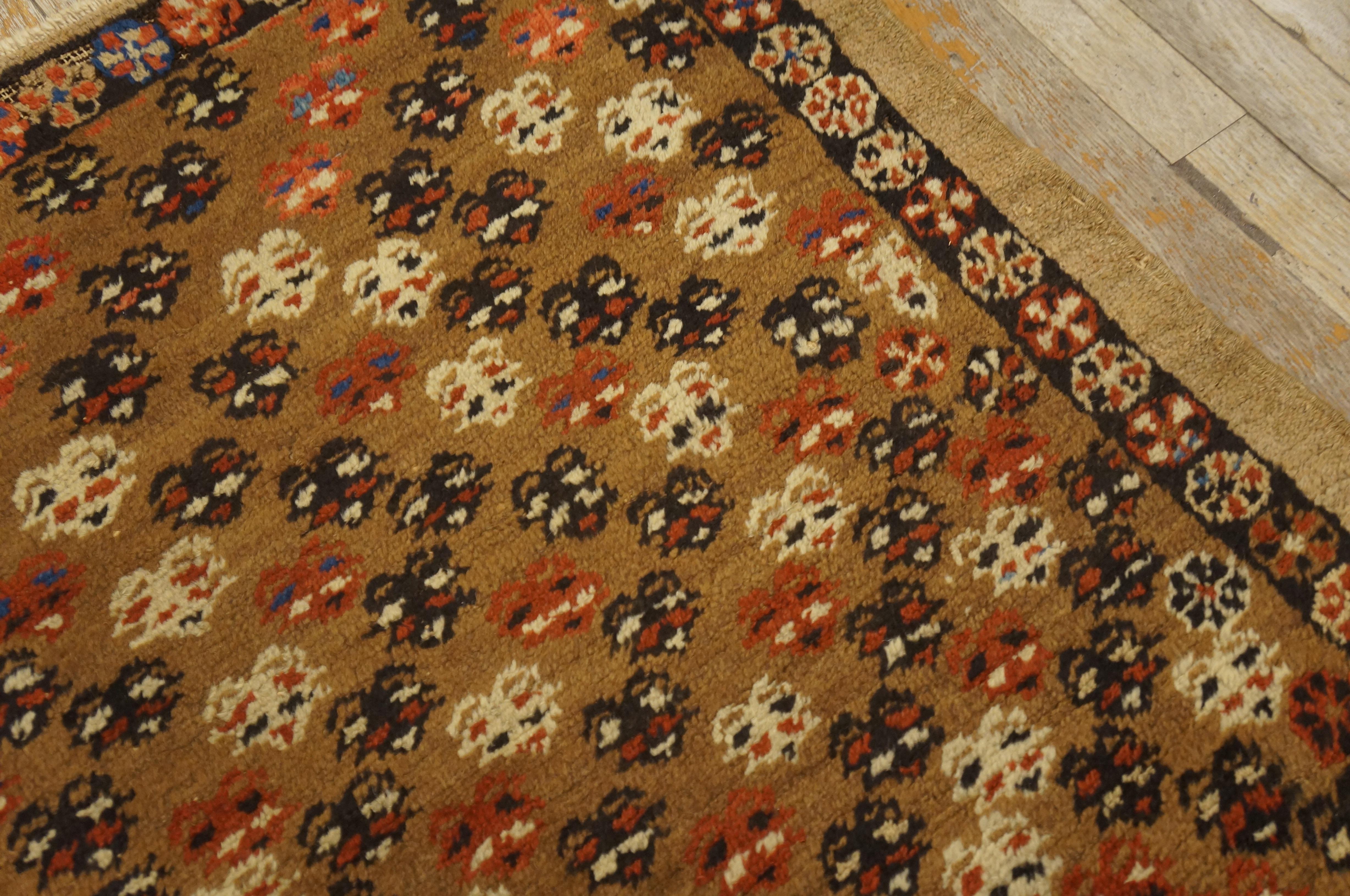 19th Century N.W. Persian Bakshaiesh Rug ( 2'9