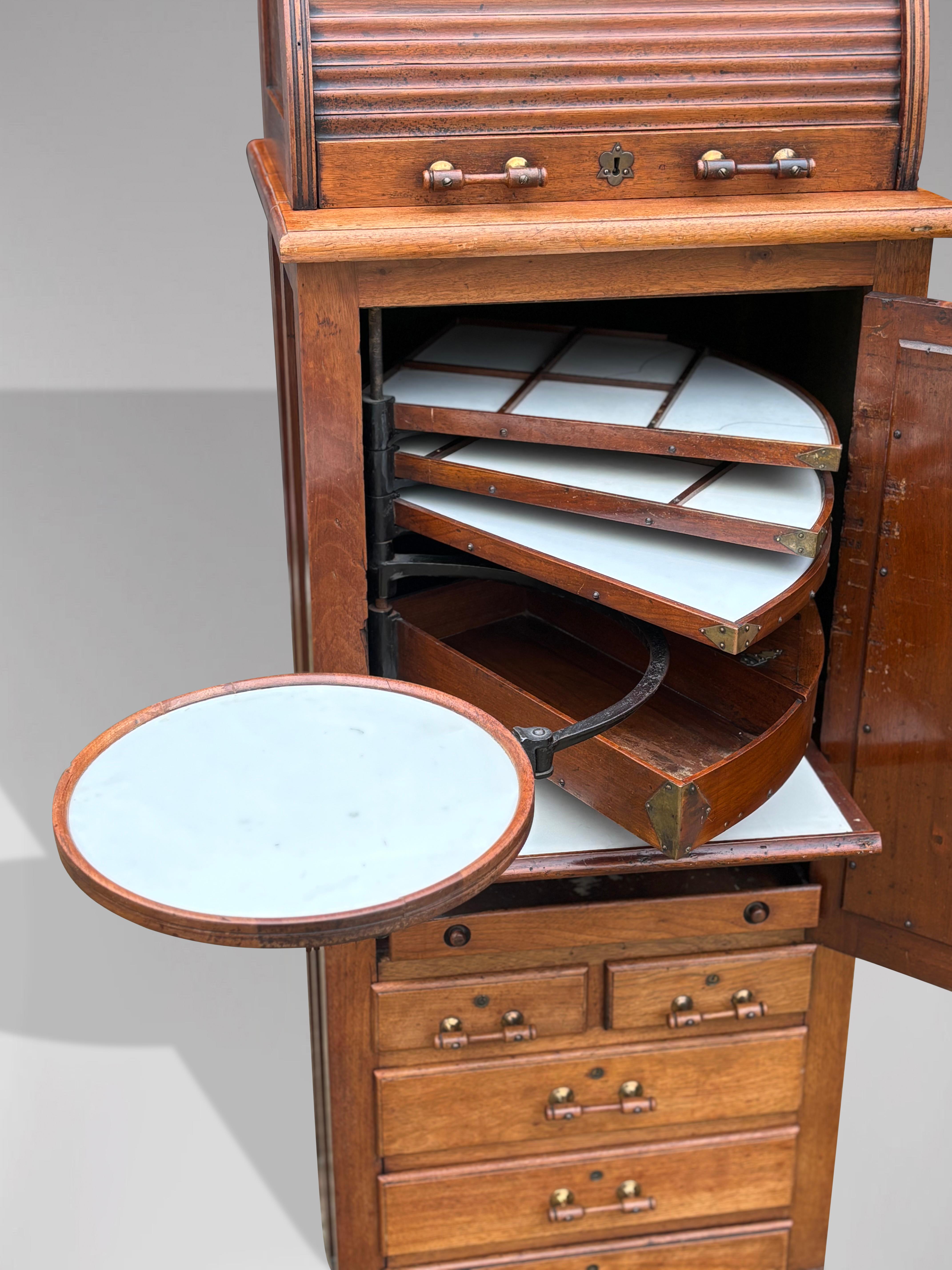 19th Century Oak Dentil Cabinet by Harvard & Co For Sale 5