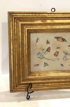 19th Century Oil on Board Painting Insect and Butterfly Study
