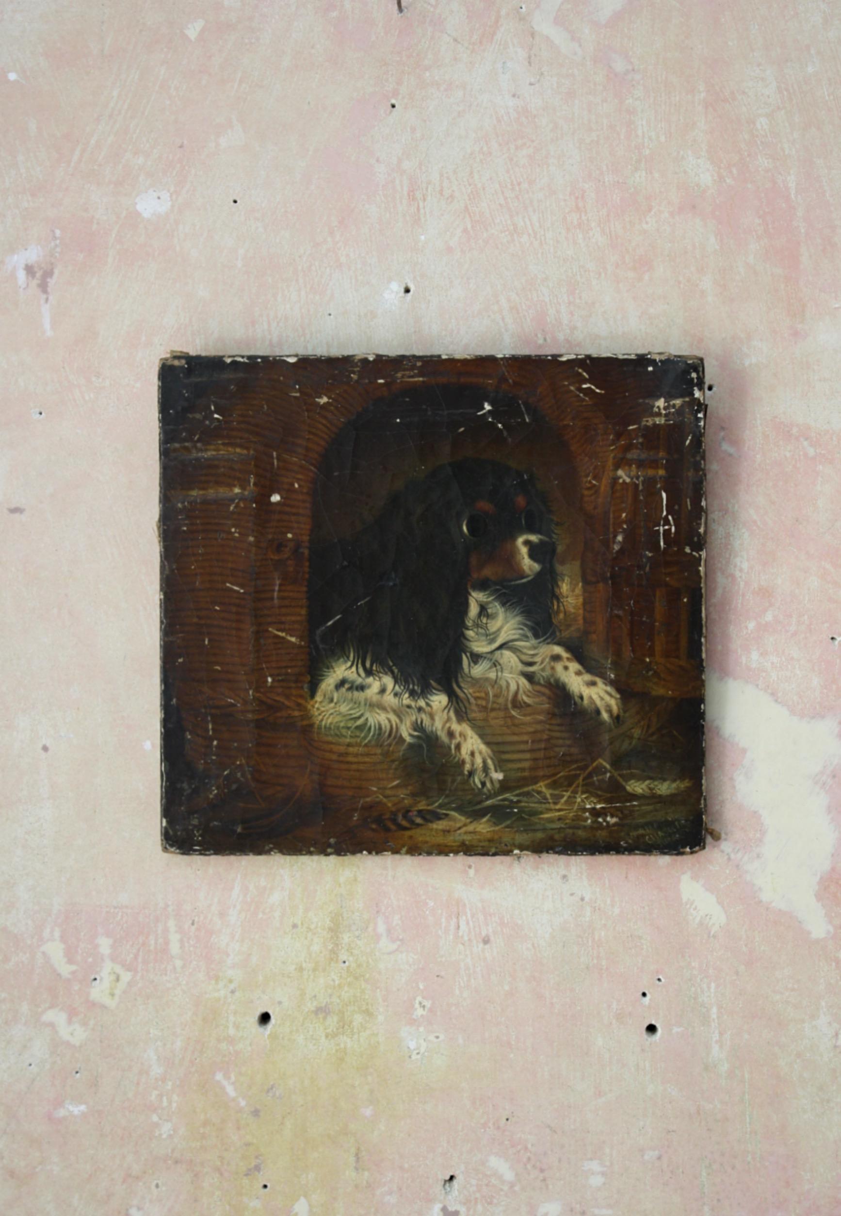 Huile sur toile du 19ème siècle - Portrait ancien de chien cavalier du roi Charles épagneul en vente 4