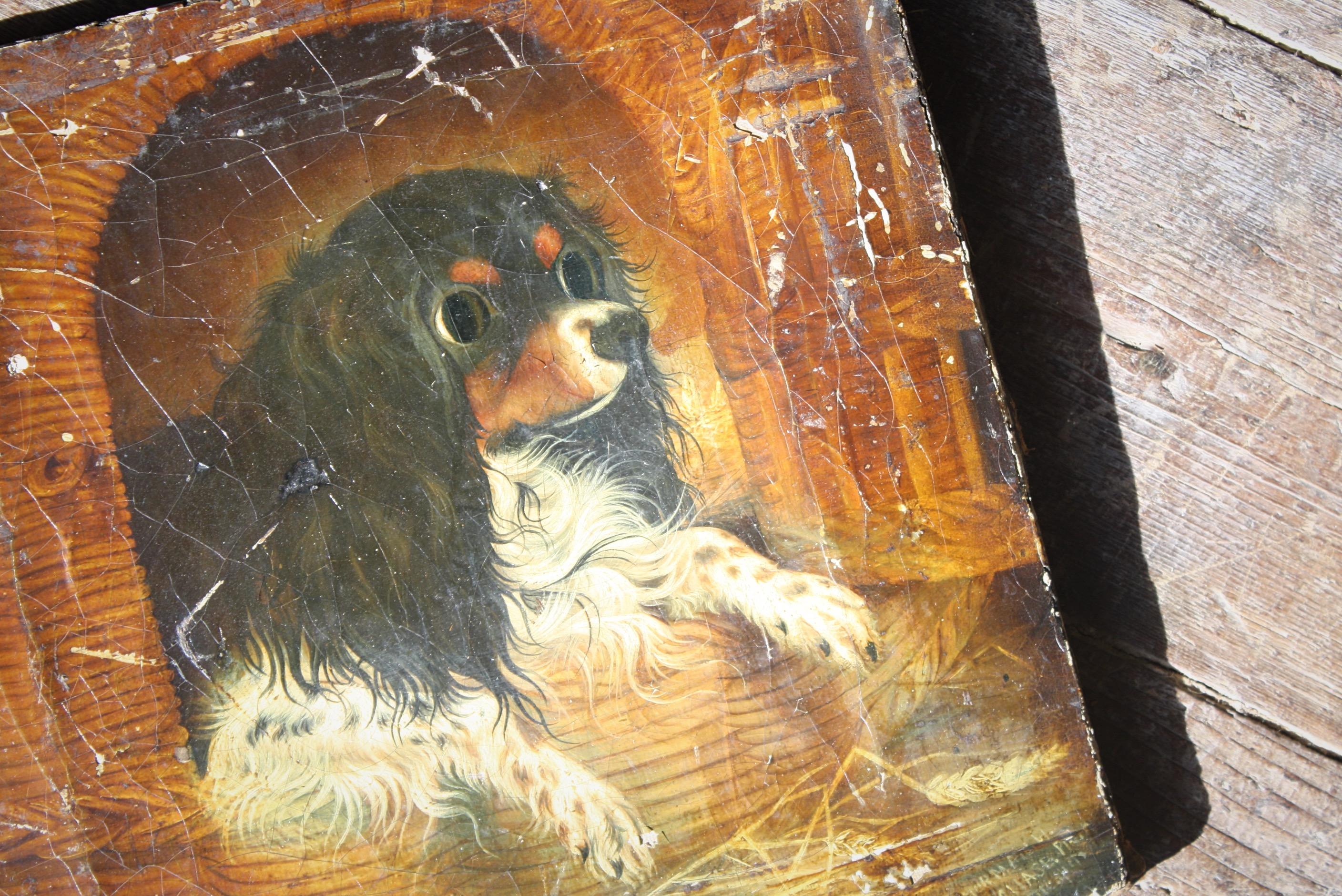 A fine oil on canvas depicting a Cavalier King Charles Spaniel peeking from his kennel, very much in the manner of Landseer.

Age related craquelure to the painted surface, some minor losses and what appears to be a patch repair on the reverse