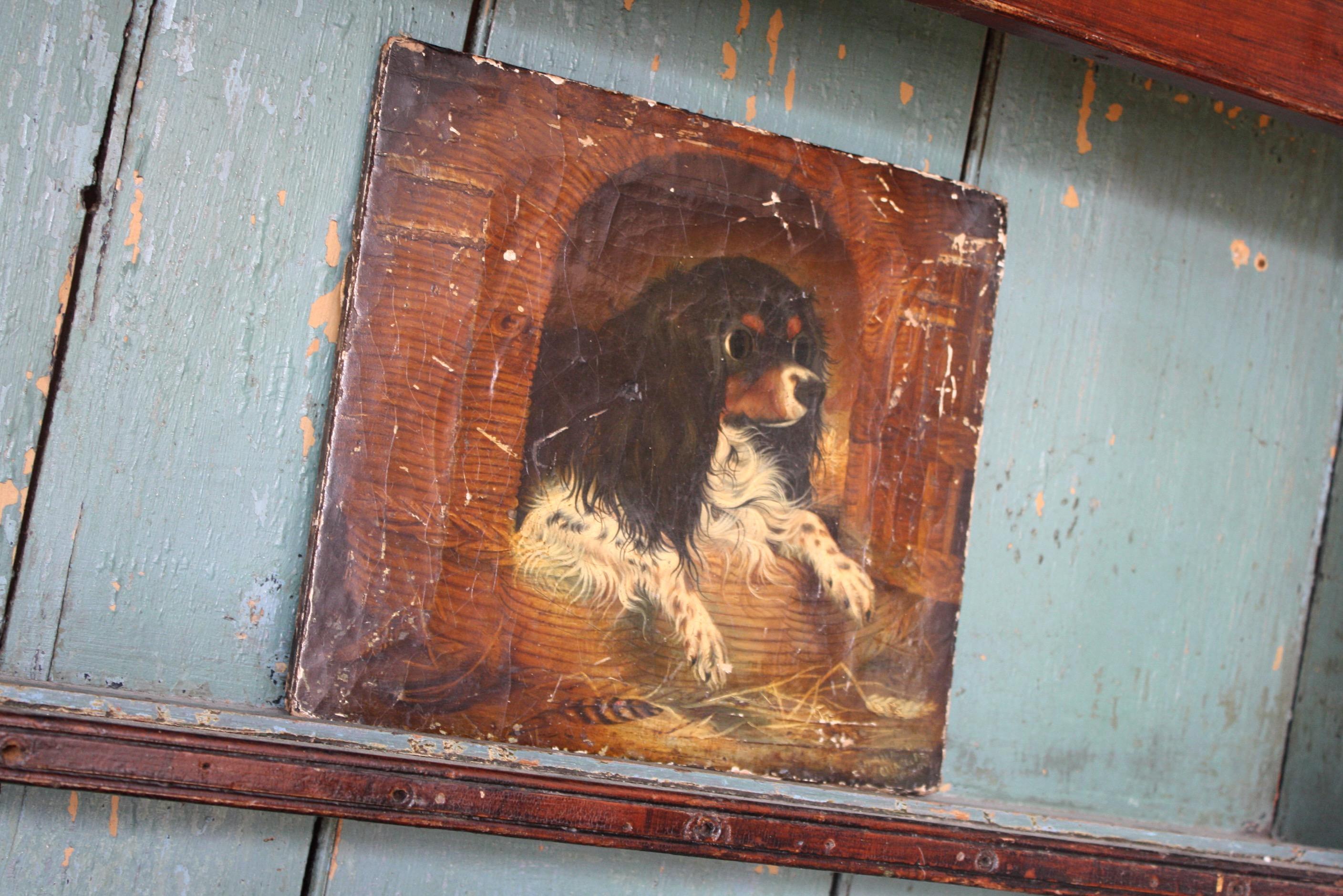 Toile Huile sur toile du 19ème siècle - Portrait ancien de chien cavalier du roi Charles épagneul en vente
