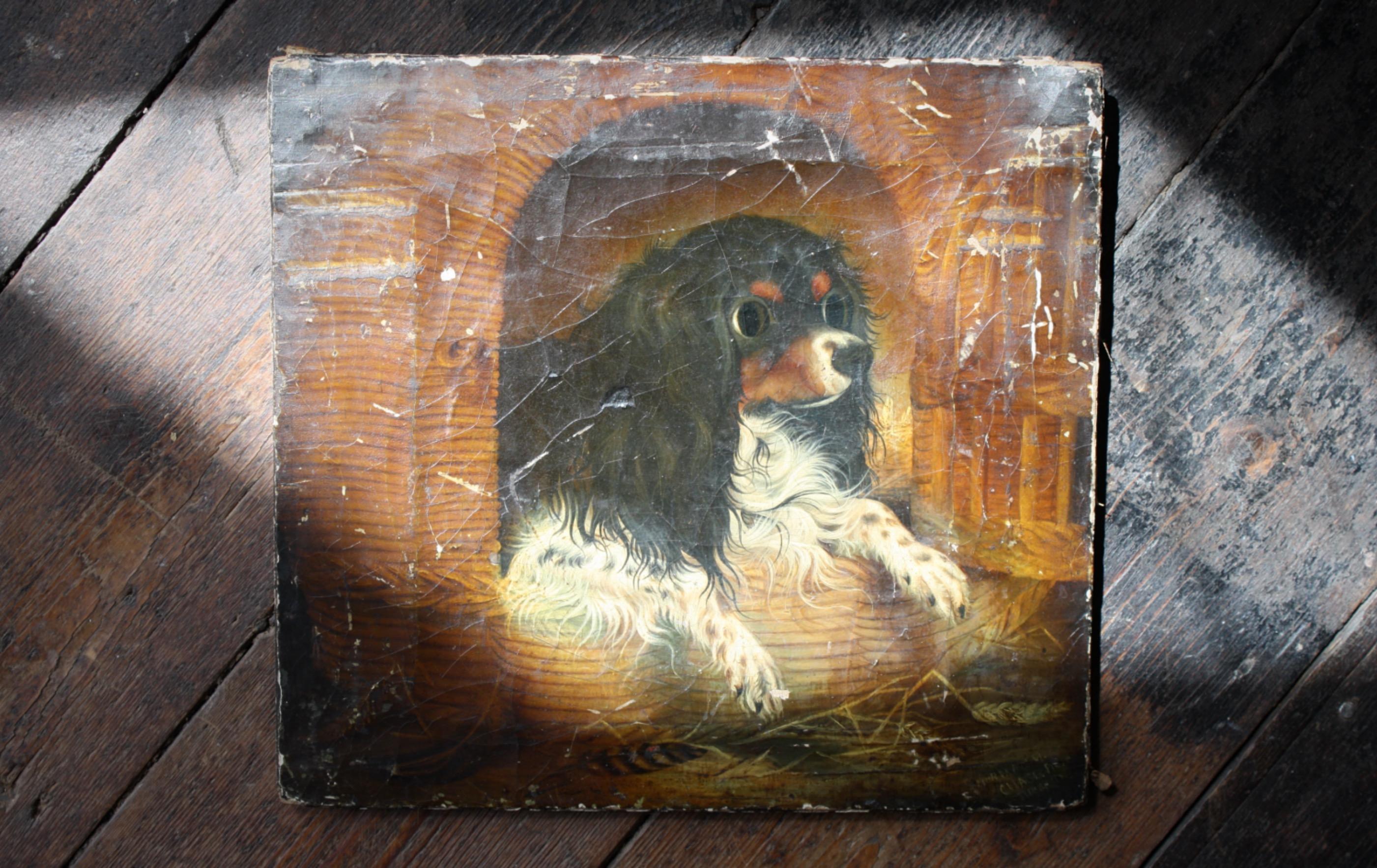 Huile sur toile du 19ème siècle - Portrait ancien de chien cavalier du roi Charles épagneul en vente 3