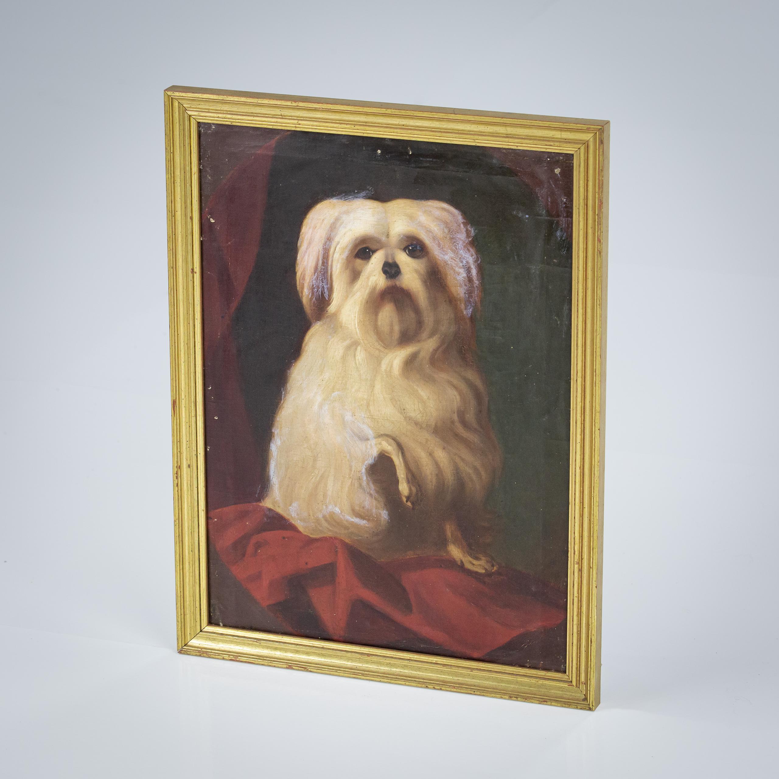 Charismatique portrait de chien à l'huile sur toile du 19e siècle, patte offerte. 
Quelques floraisons, principalement sur les oreilles et le côté gauche du chien.
Maison de campagne intacte avec quelques petites imperfections 
France, Circa 1880.
