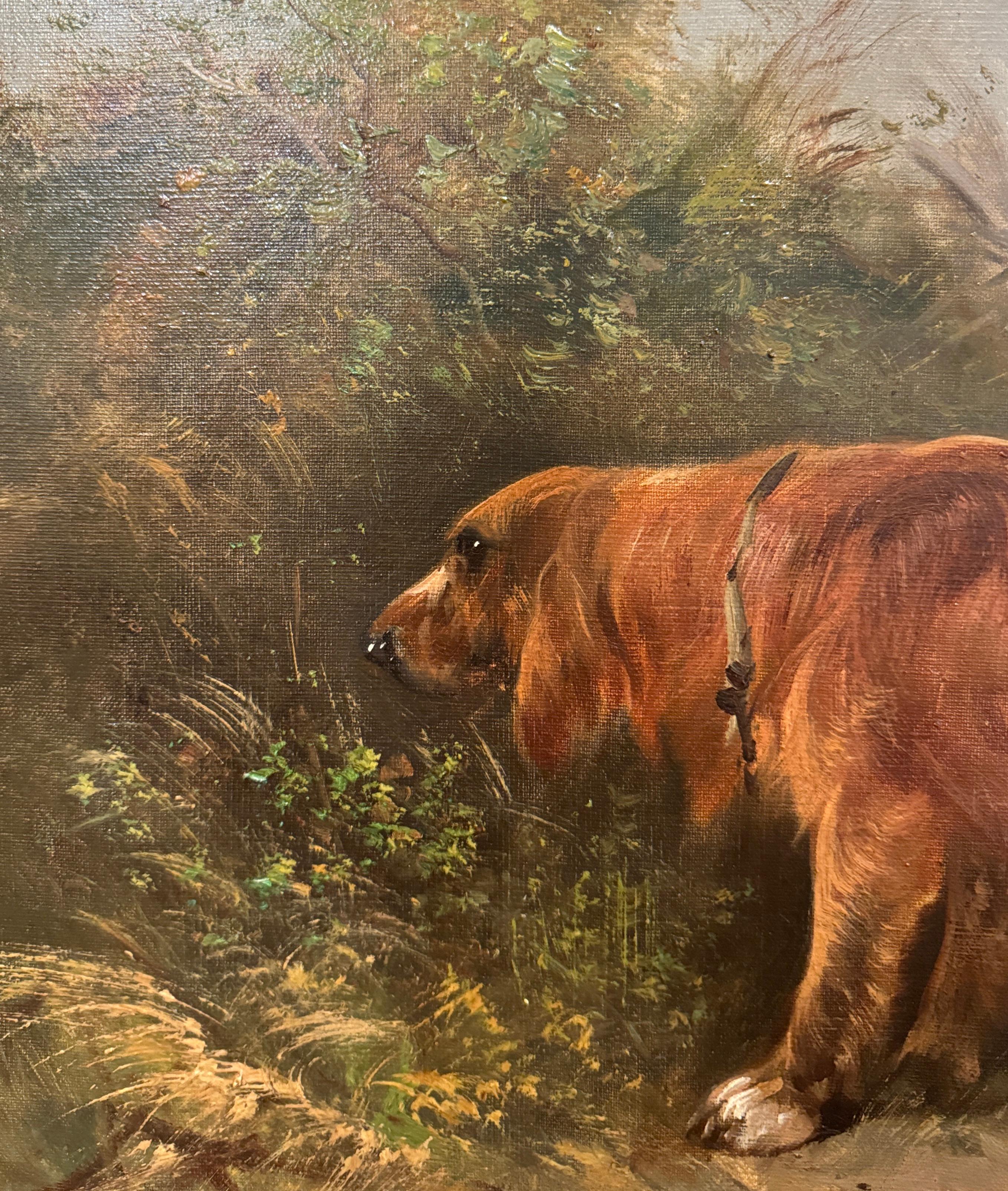 Tela Pittura del XIX secolo olio su tela con cani da caccia in cornice dorata firmata H. H. Schouten in vendita