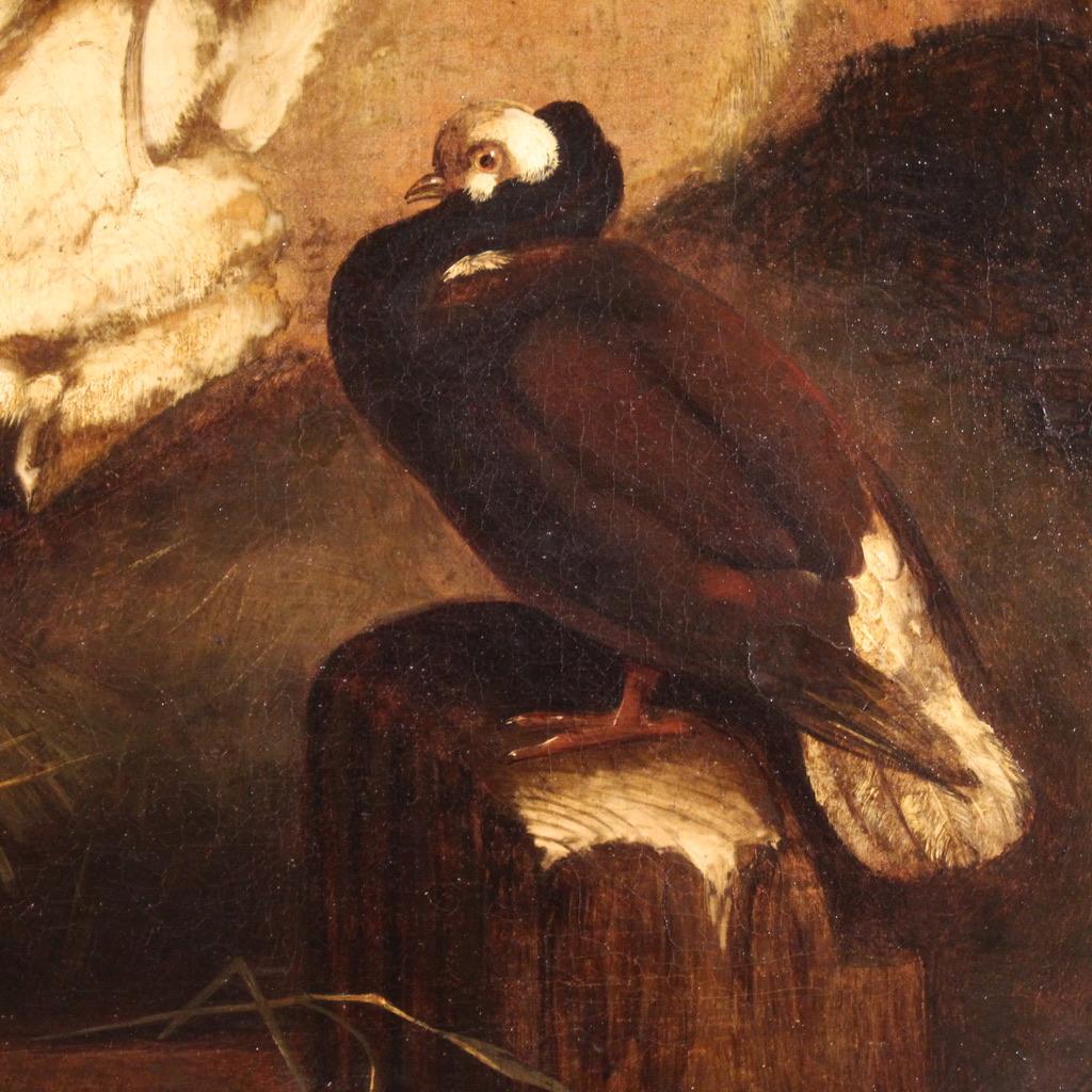 Toile Huile sur toile du 19e siècle Peinture ancienne italienne Chevaux, 1820 en vente