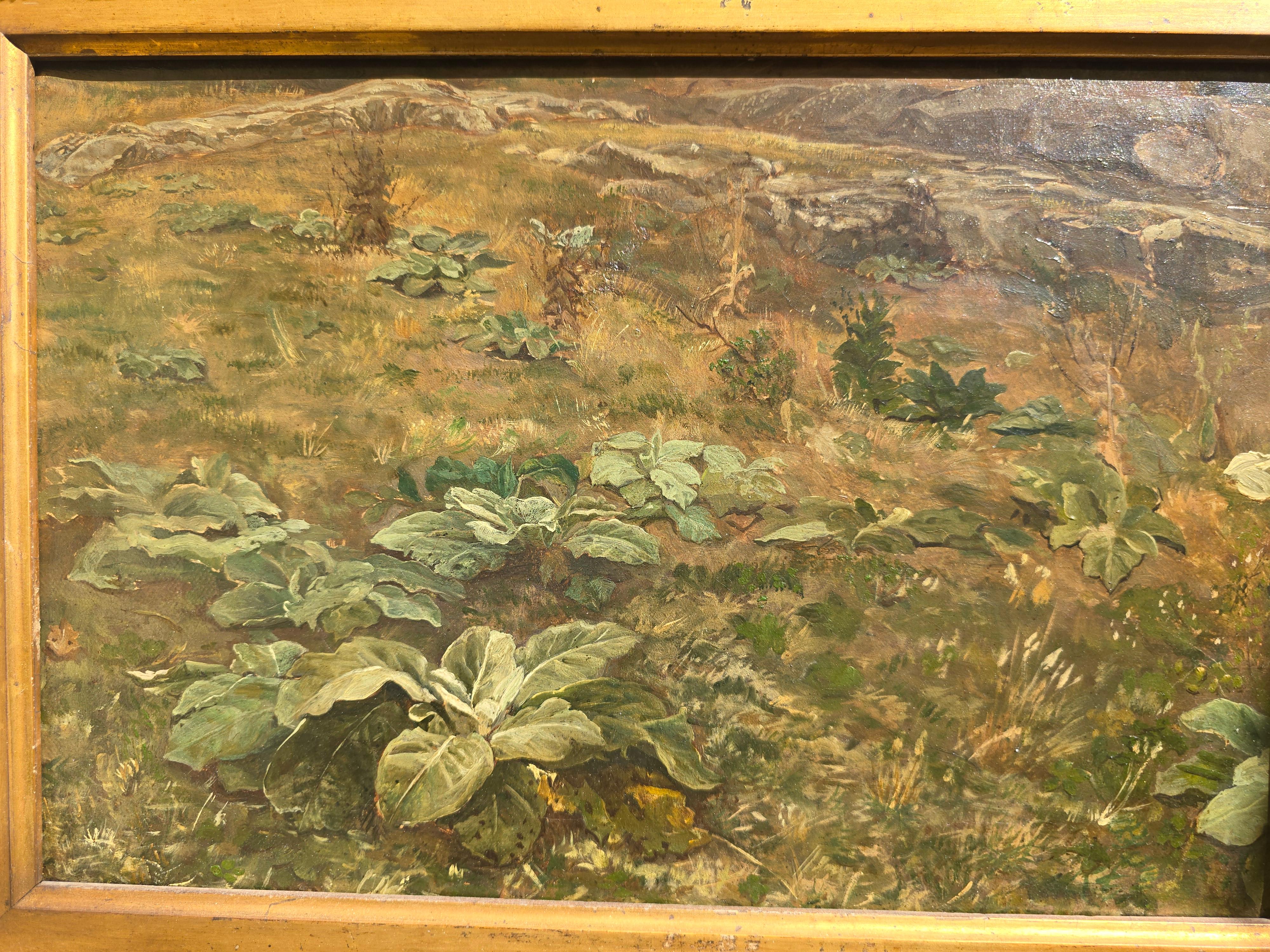 19. Jahrhundert Öl auf Leinwand Landschaft im Angebot 5