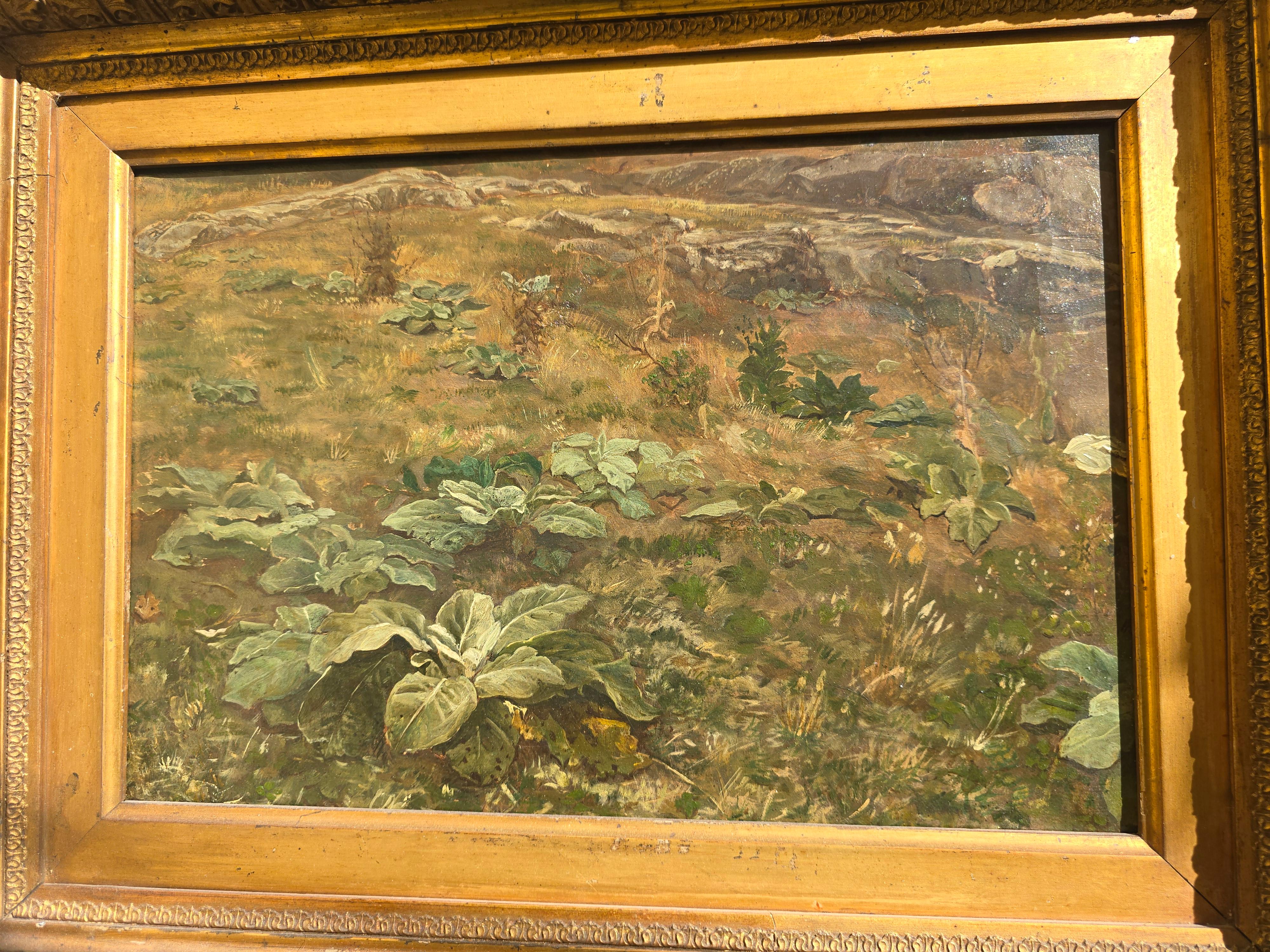 19. Jahrhundert Öl auf Leinwand Landschaft im Angebot 2