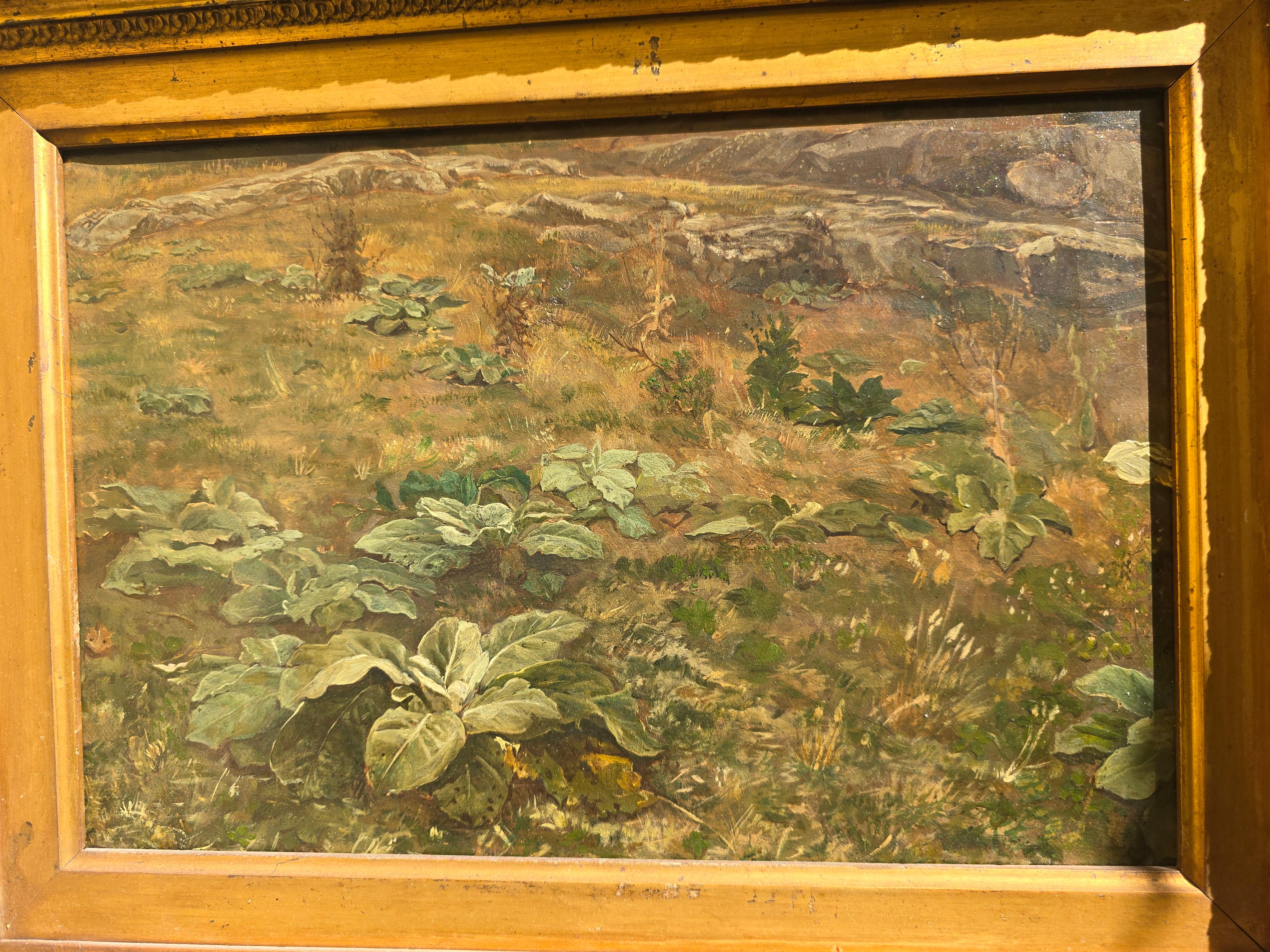 19. Jahrhundert Öl auf Leinwand Landschaft im Angebot 3