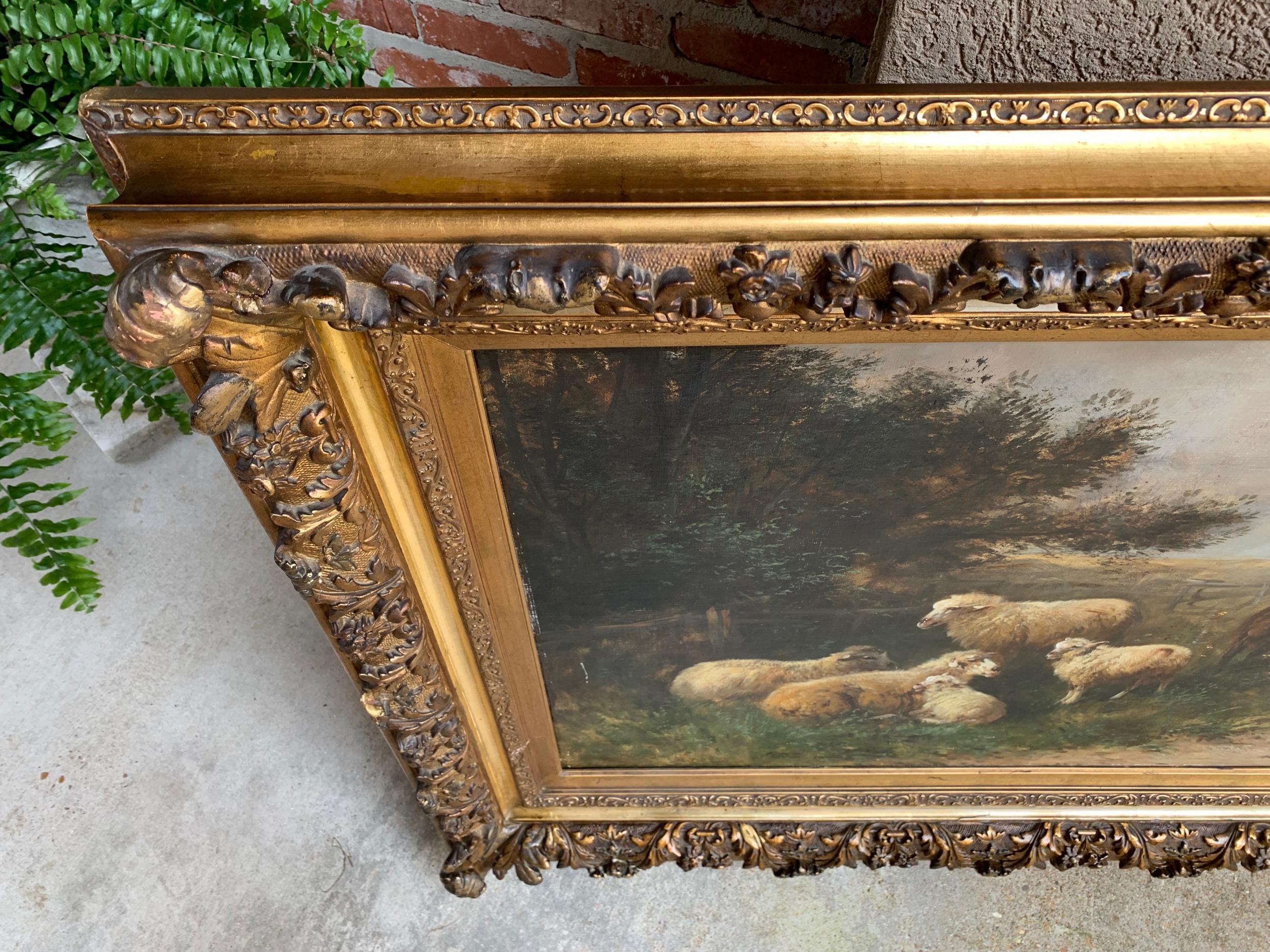 19th Century Oil on Canvas Sheep, Landscape Henry Schouten Large Gilt Wood Frame 2
