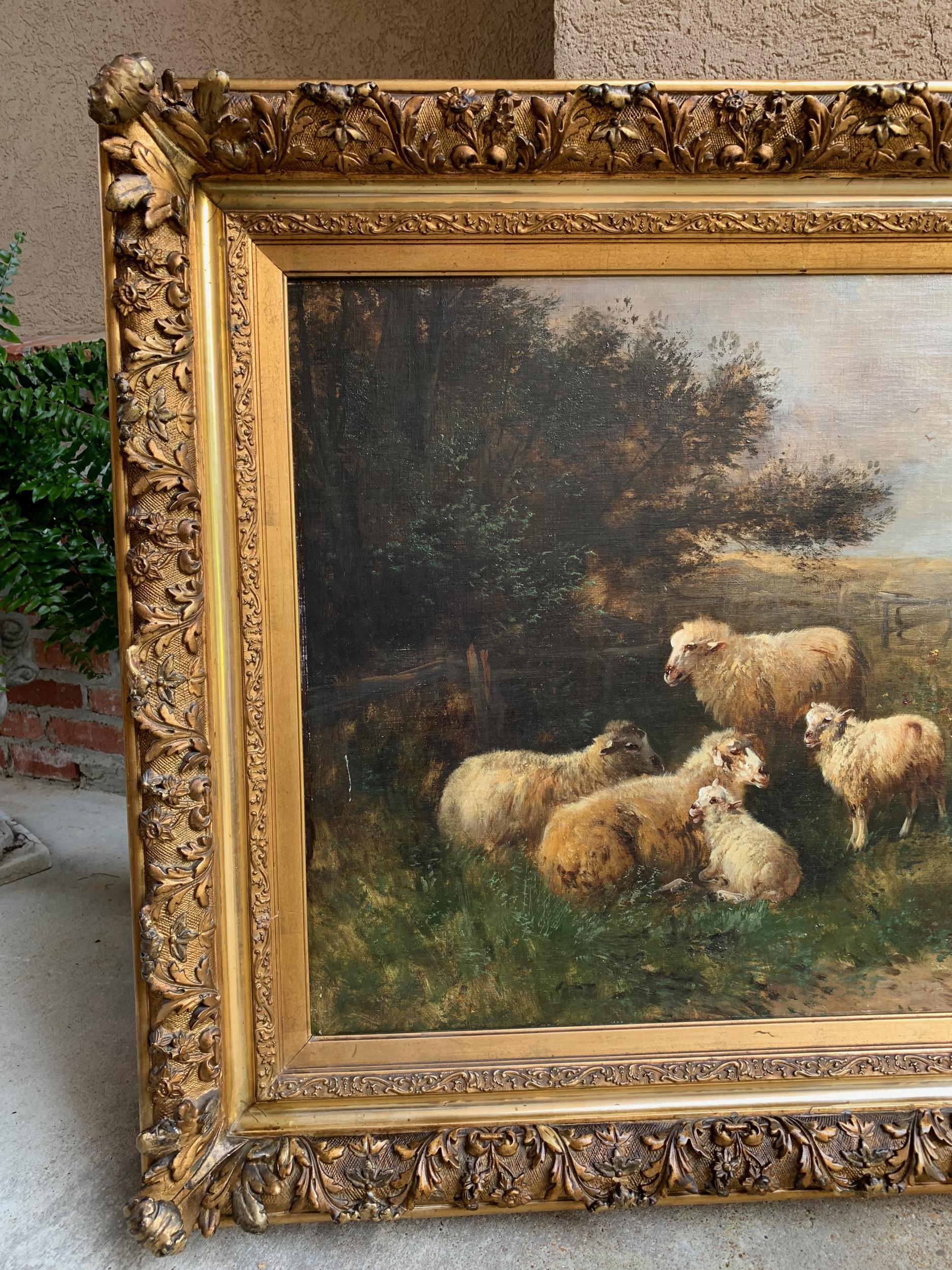 19th Century Oil on Canvas Sheep, Landscape Henry Schouten Large Gilt Wood Frame 6