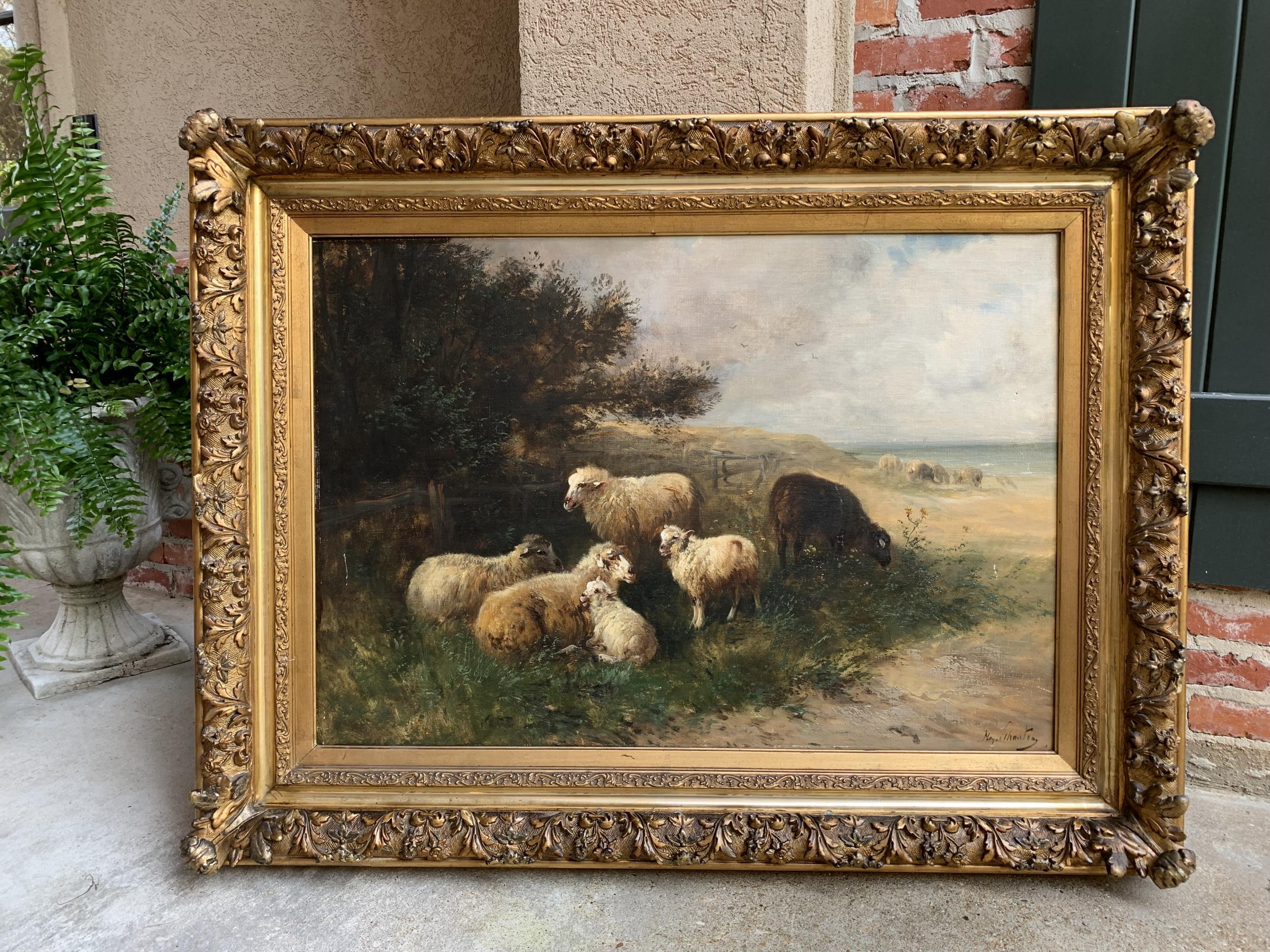 19th century oil on canvas sheep beach by Henry Schouten large gilt wood frame

~Direct from Europe~
~Magnificent original oil on canvas painting of a sheep herd, by Belgian artist Henry Schouten (1864-1927)~
~Sheep grazing and resting, with