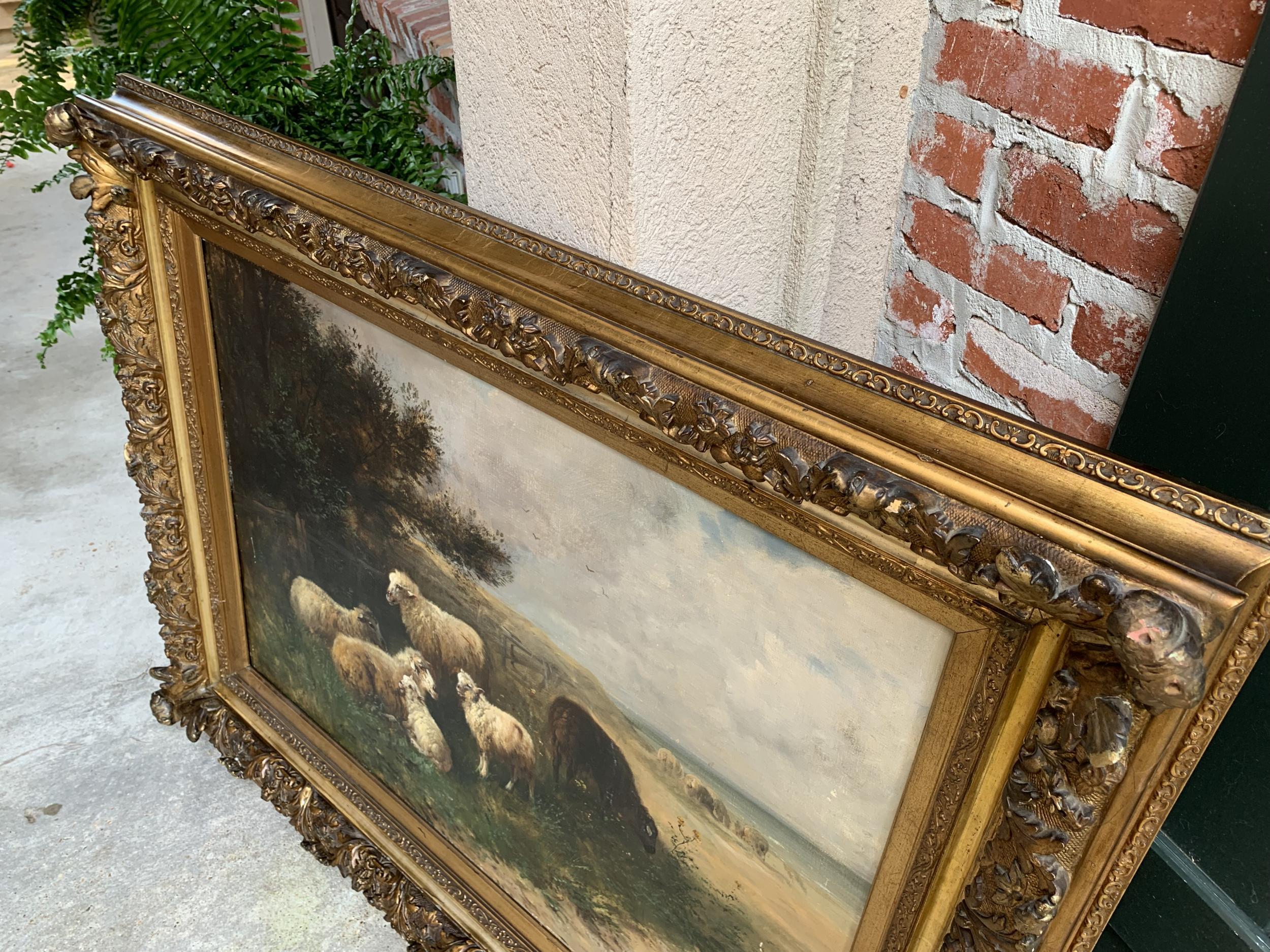 19th Century Oil on Canvas Sheep, Landscape Henry Schouten Large Gilt Wood Frame 1