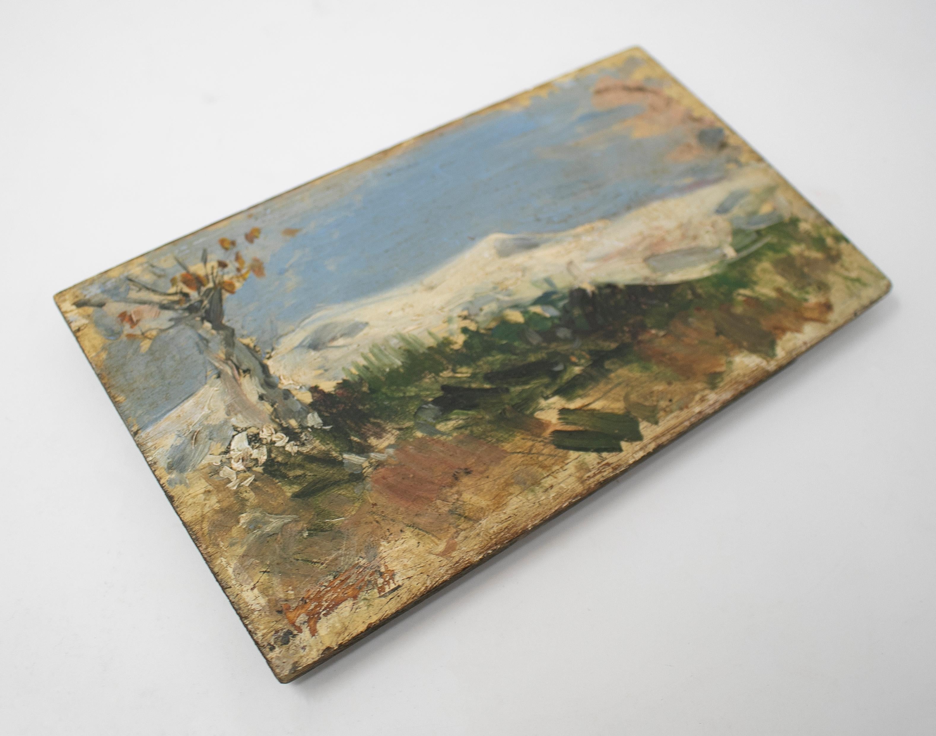 huile sur bois du 19ème siècle signée représentant un paysage de montagne impressionniste. 

  