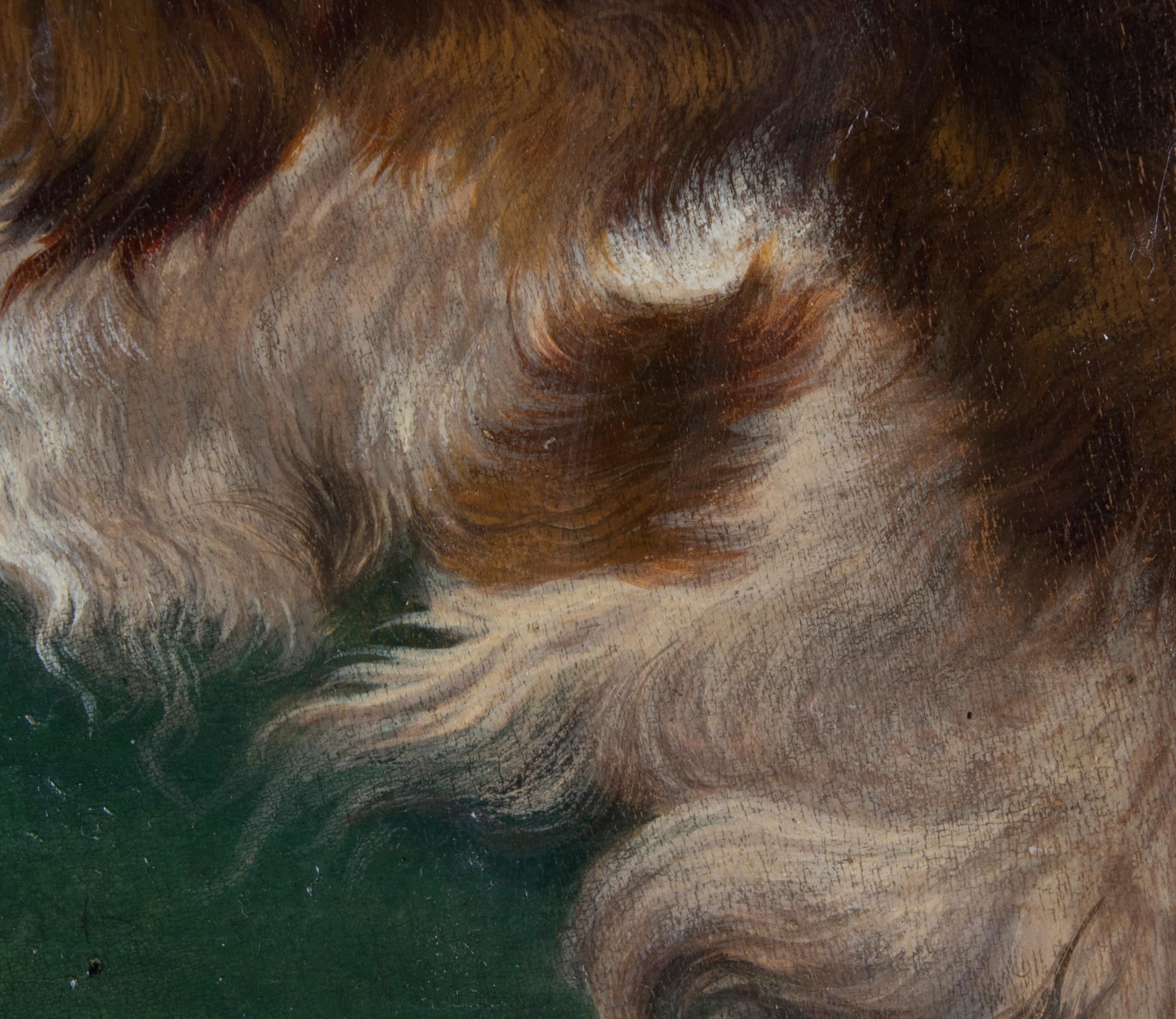 Ölgemälde, Cavalier King Charles Spaniel, Hunde und eine Katze, 19. Jahrhundert im Angebot 7