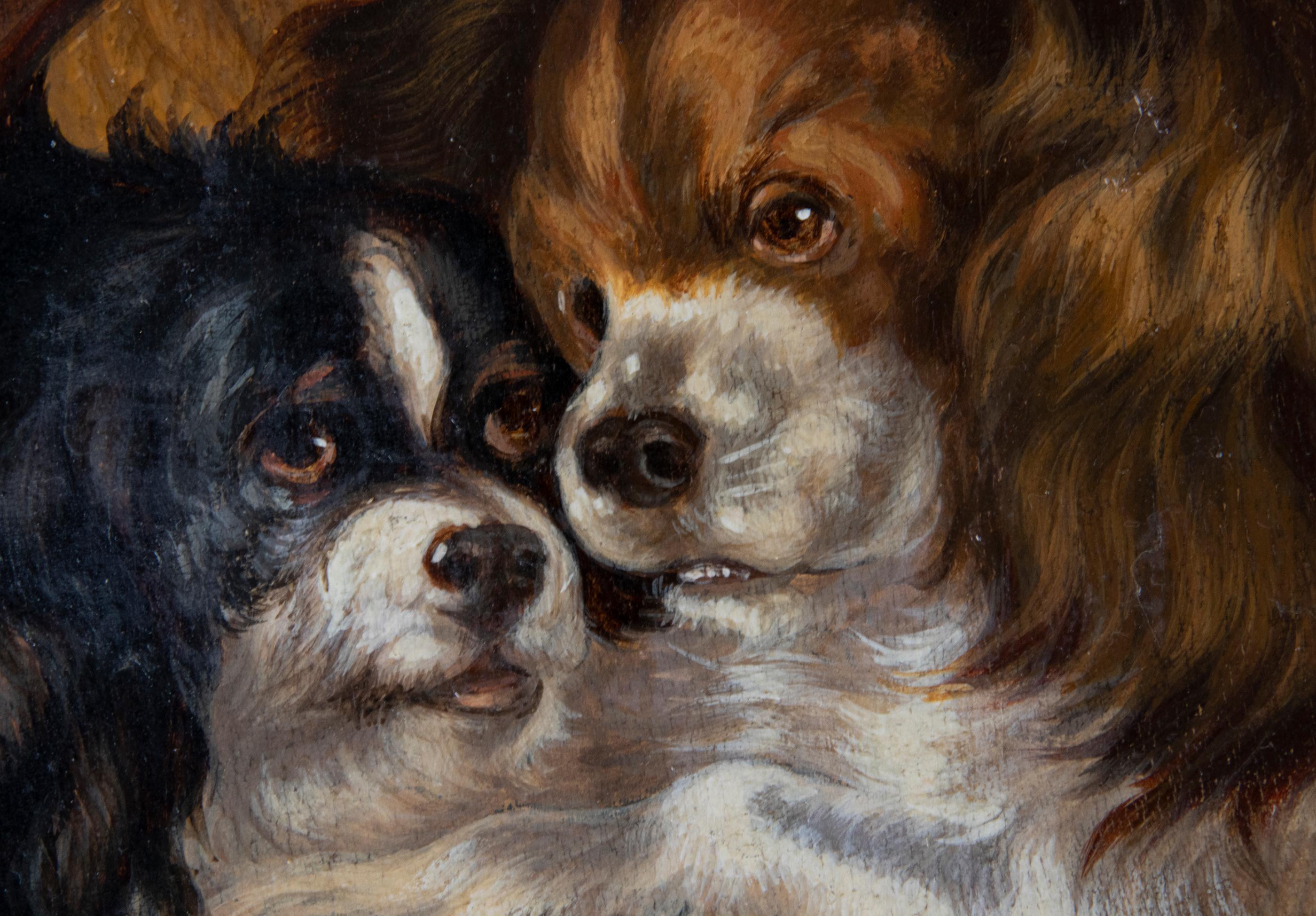 Ölgemälde, Cavalier King Charles Spaniel, Hunde und eine Katze, 19. Jahrhundert (Französisch) im Angebot