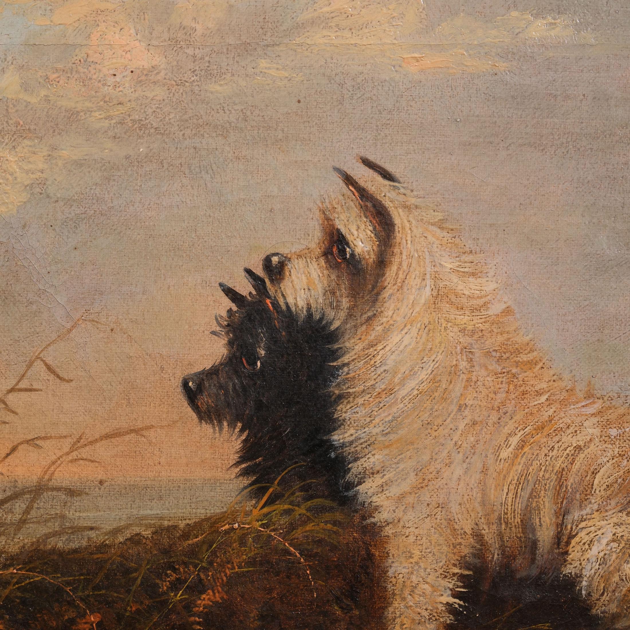 19. Jahrhundert Ölgemälde von zwei Terriern Hundeportrait (Belle Époque) im Angebot