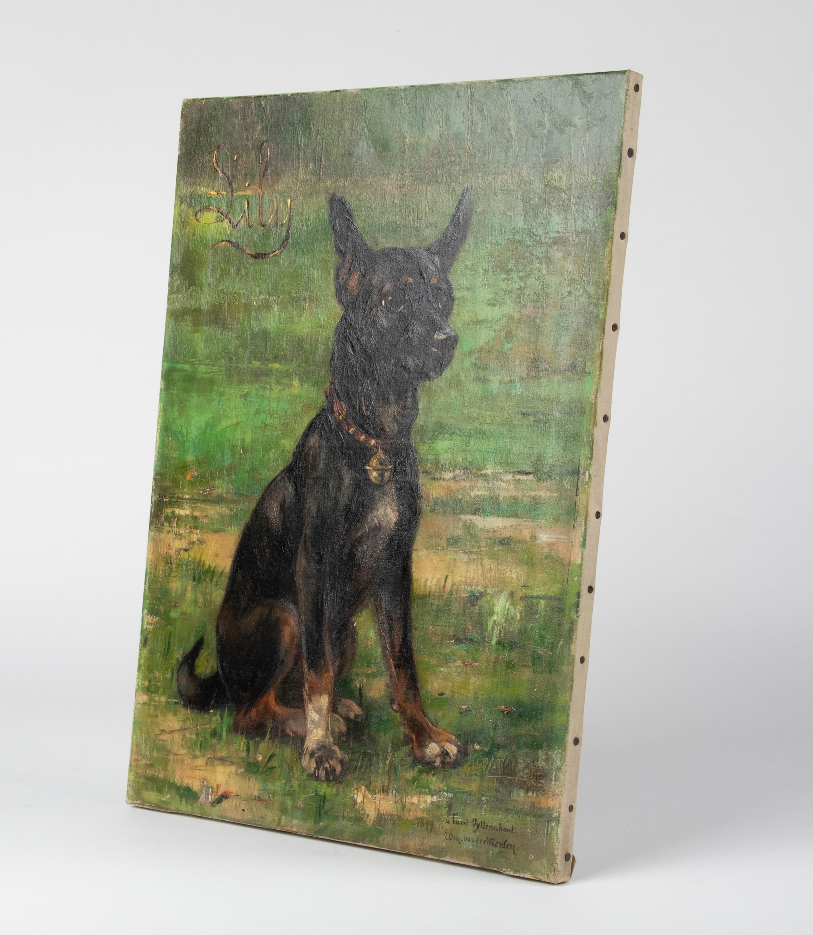 Belgian 19th Century Oil Painting Pincher Dog, Edmond van der Meulen