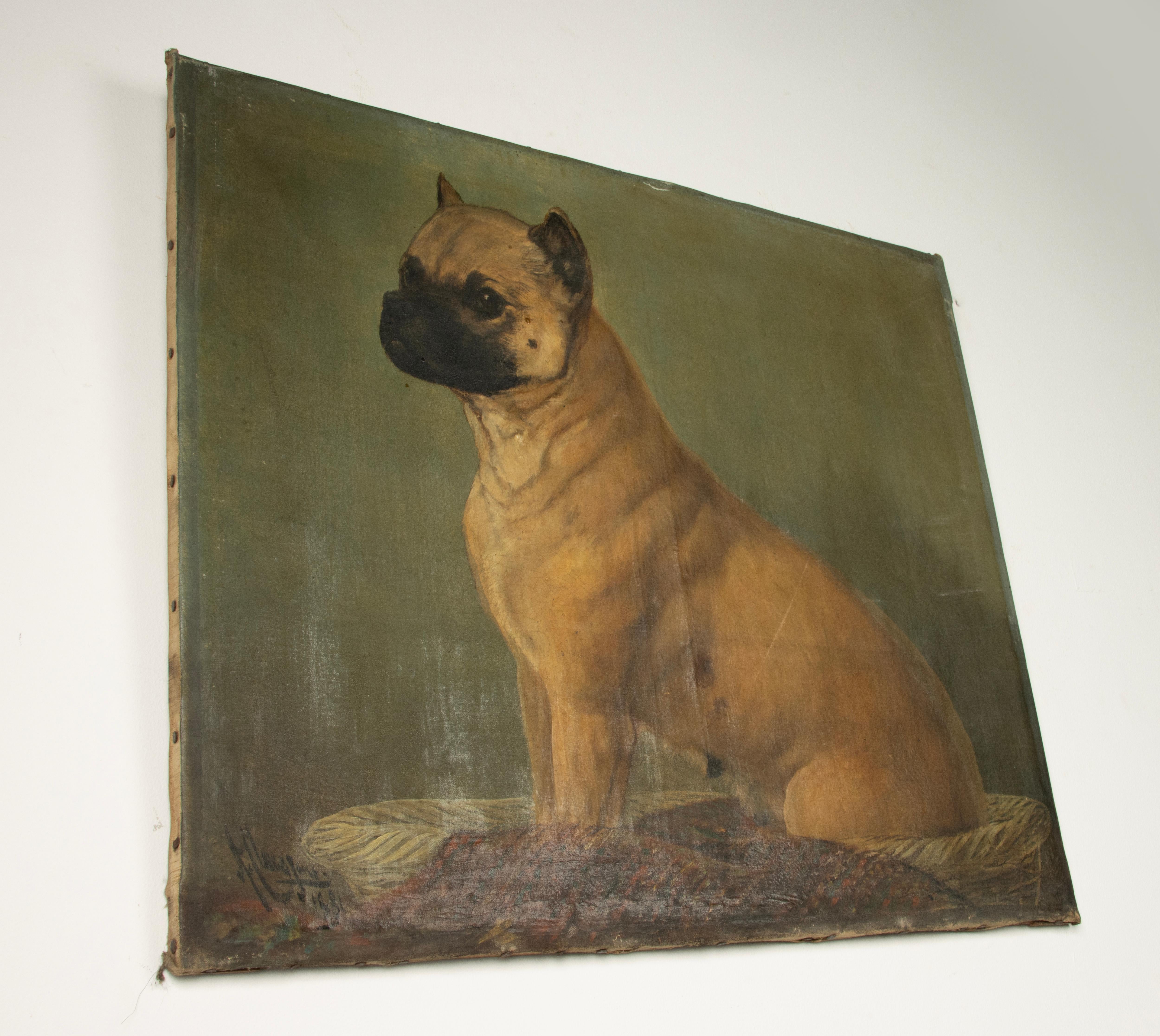 Pittura ad olio del XIX secolo - Ritratto di cane - Carlino in vendita 5