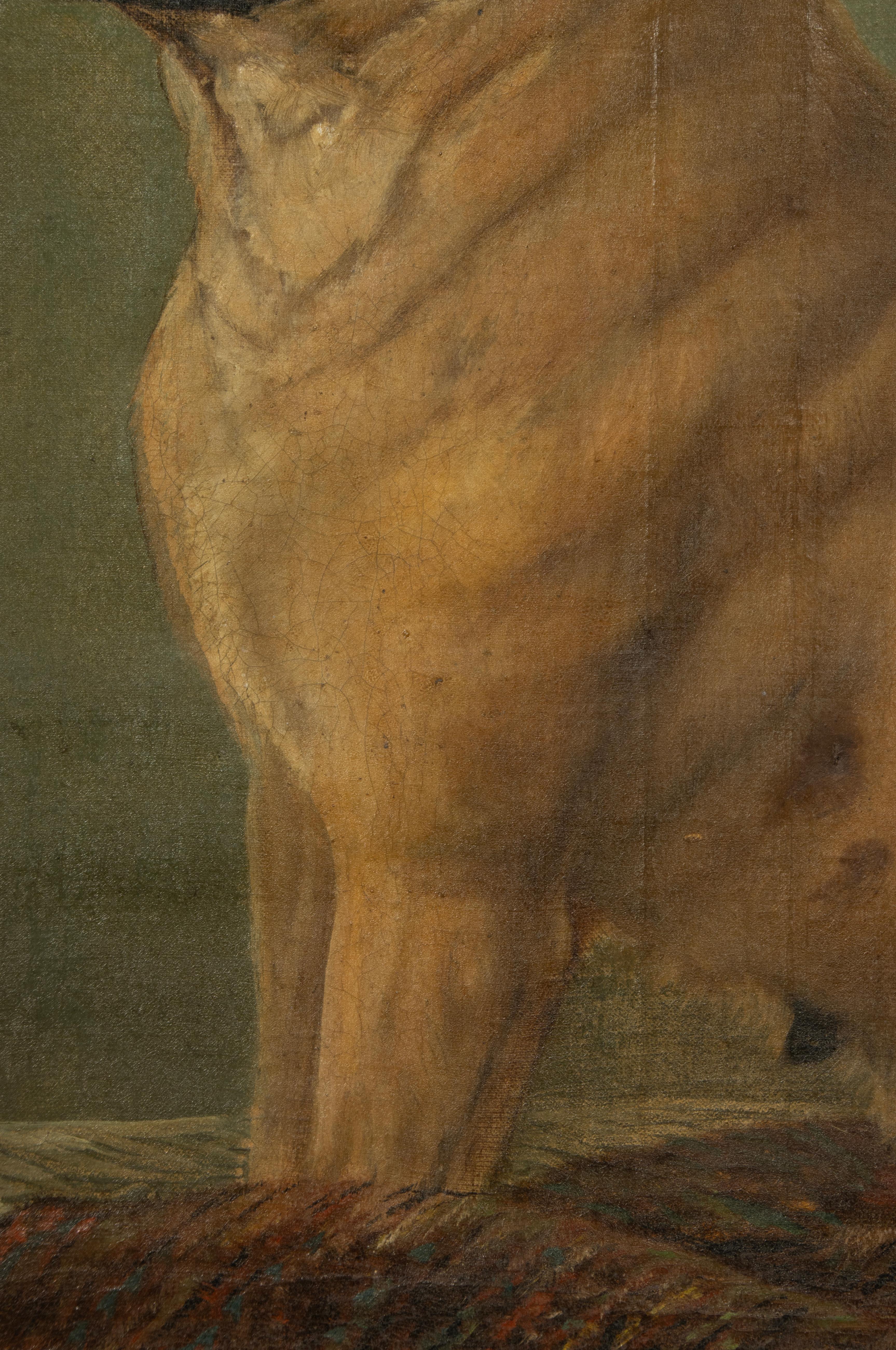 Pittura ad olio del XIX secolo - Ritratto di cane - Carlino in vendita 7