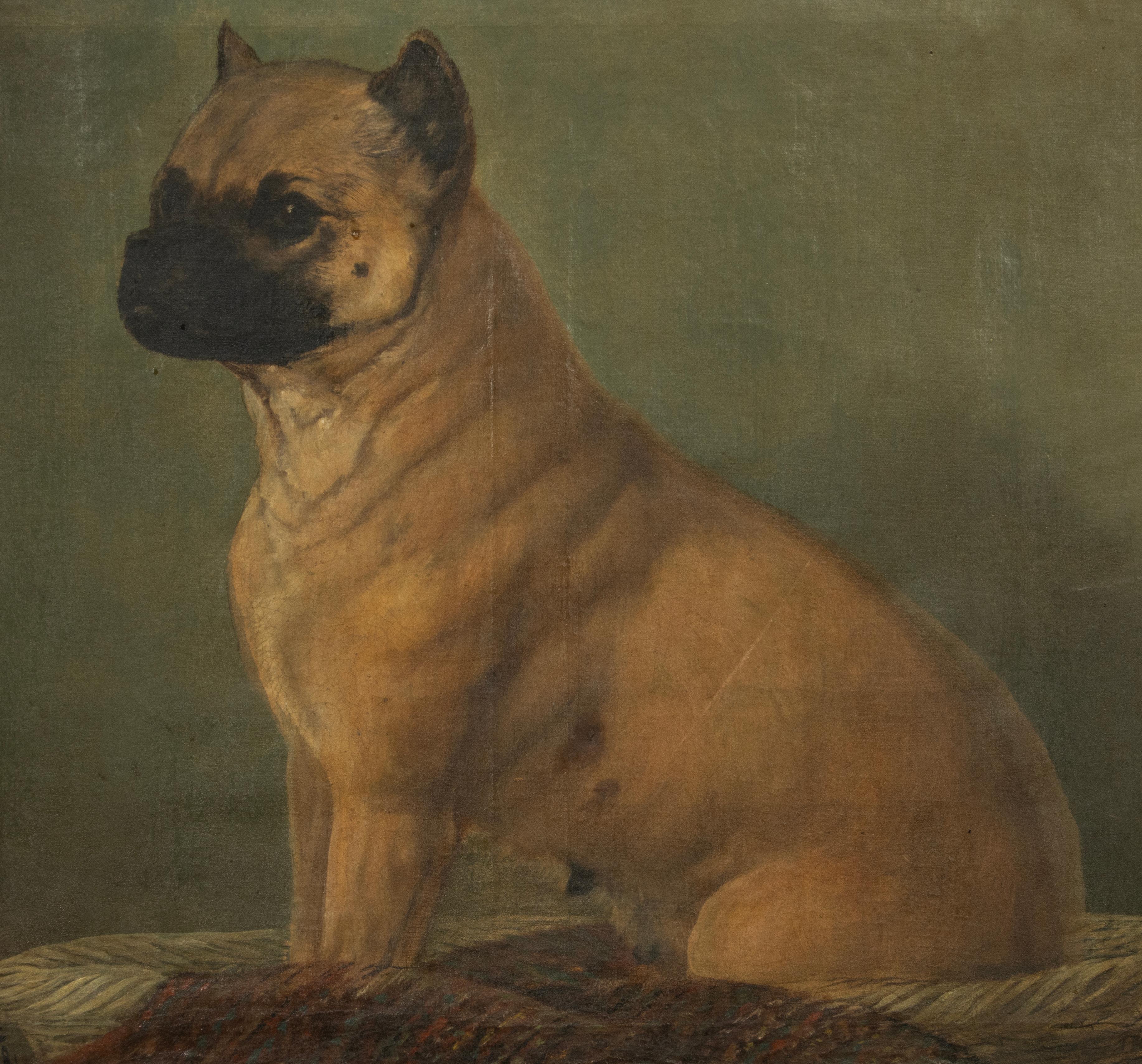 Pittura ad olio del XIX secolo - Ritratto di cane - Carlino in vendita 10