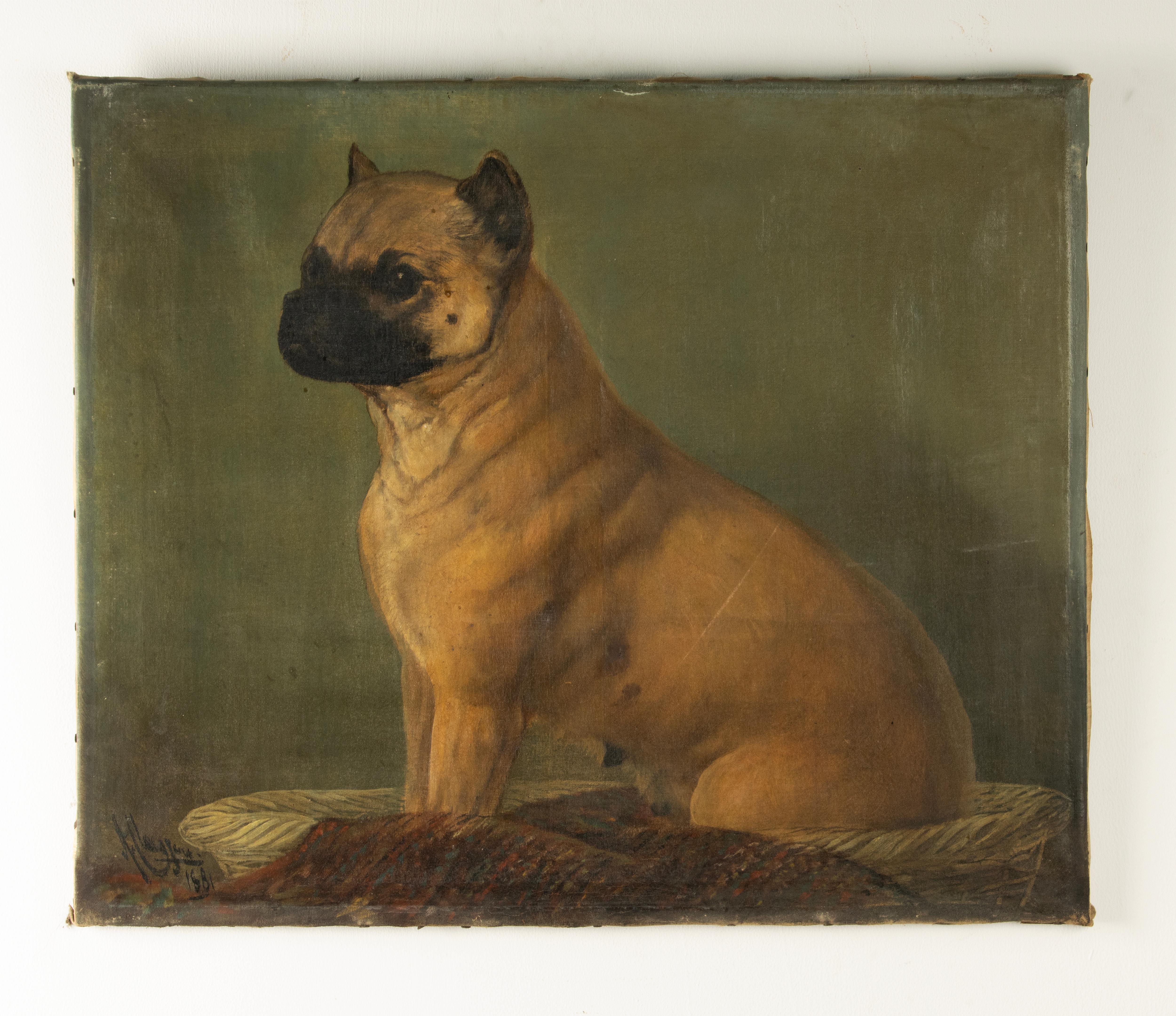 Un bellissimo dipinto a olio antico, ritratto di un carlino.
Il dipinto è firmato e datato 1881, ma la firma non è leggibile.
Il dipinto è in condizioni originali con evidenti segni dell'età. Le foto danno una buona impressione di questo aspetto.