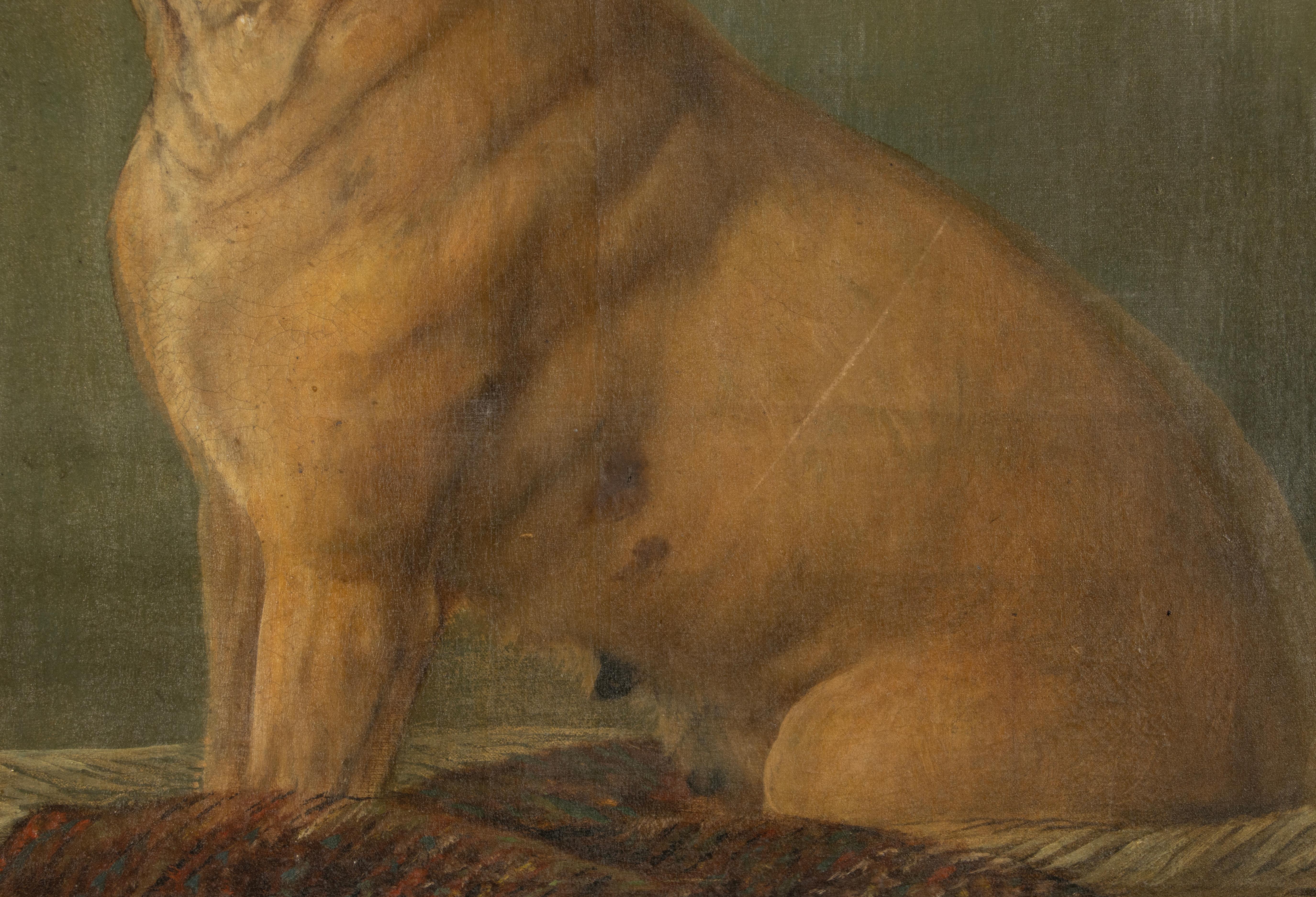 Tela Pittura ad olio del XIX secolo - Ritratto di cane - Carlino in vendita