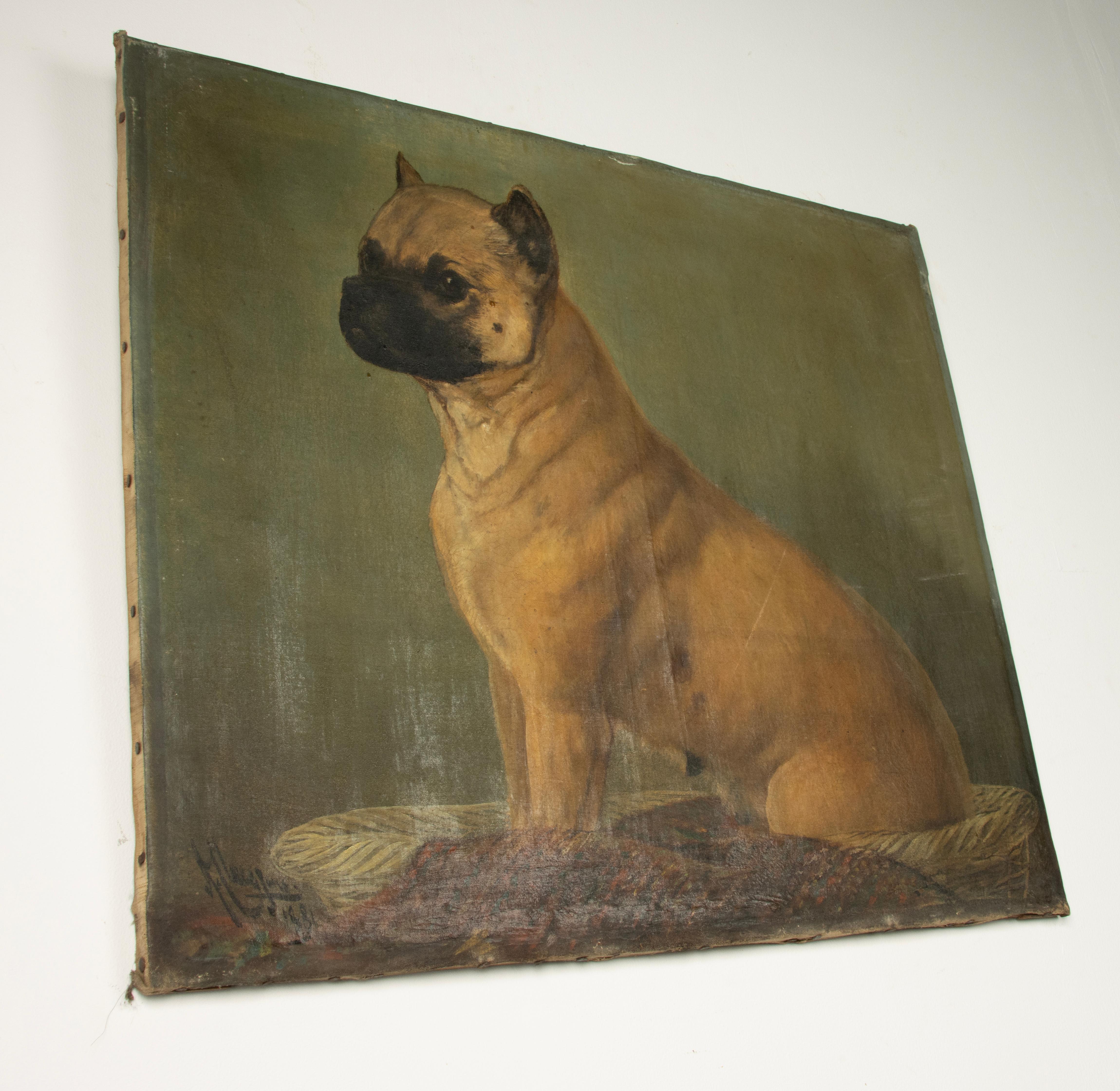 Pittura ad olio del XIX secolo - Ritratto di cane - Carlino in vendita 1