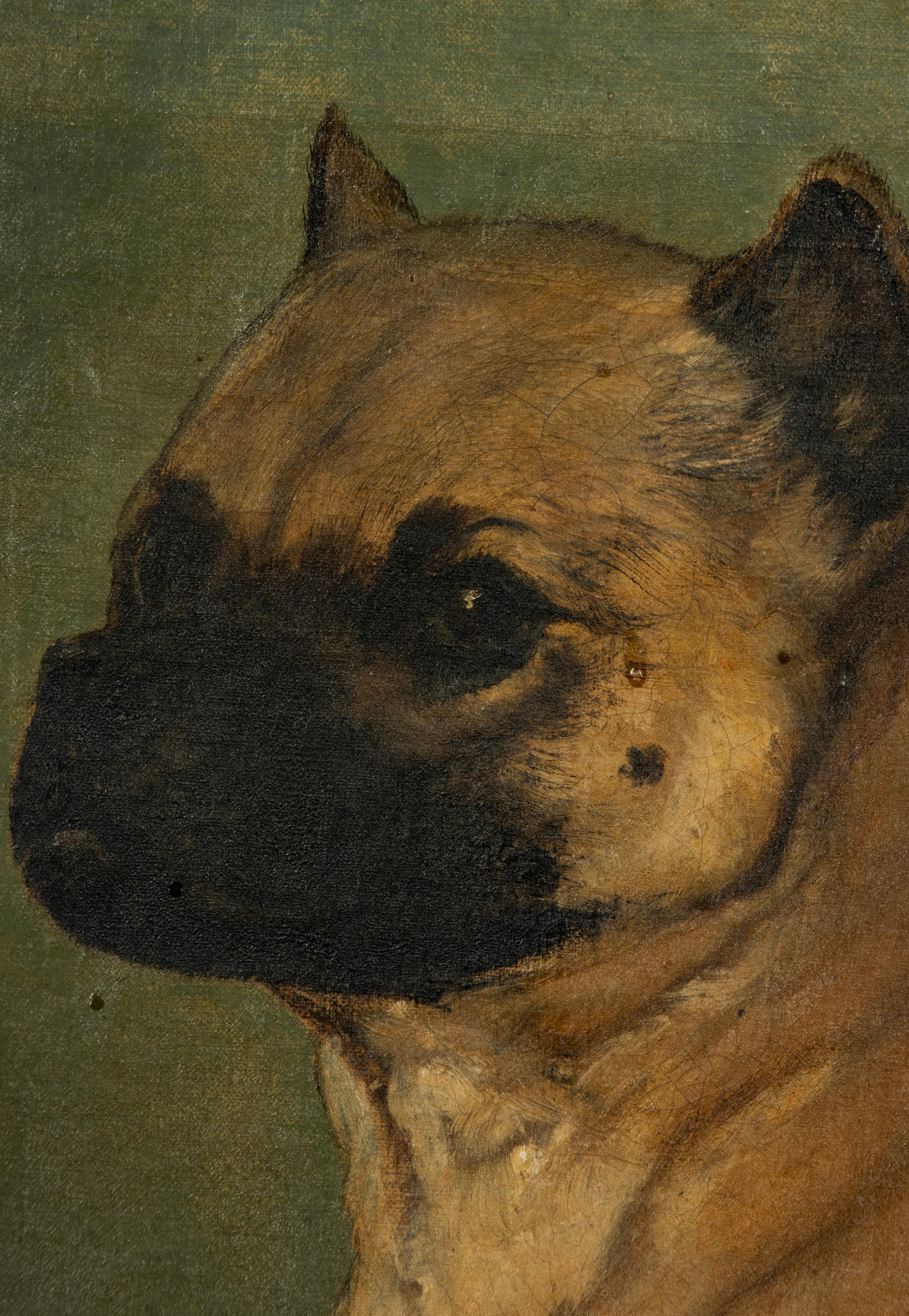 Pittura ad olio del XIX secolo - Ritratto di cane - Carlino in vendita 2